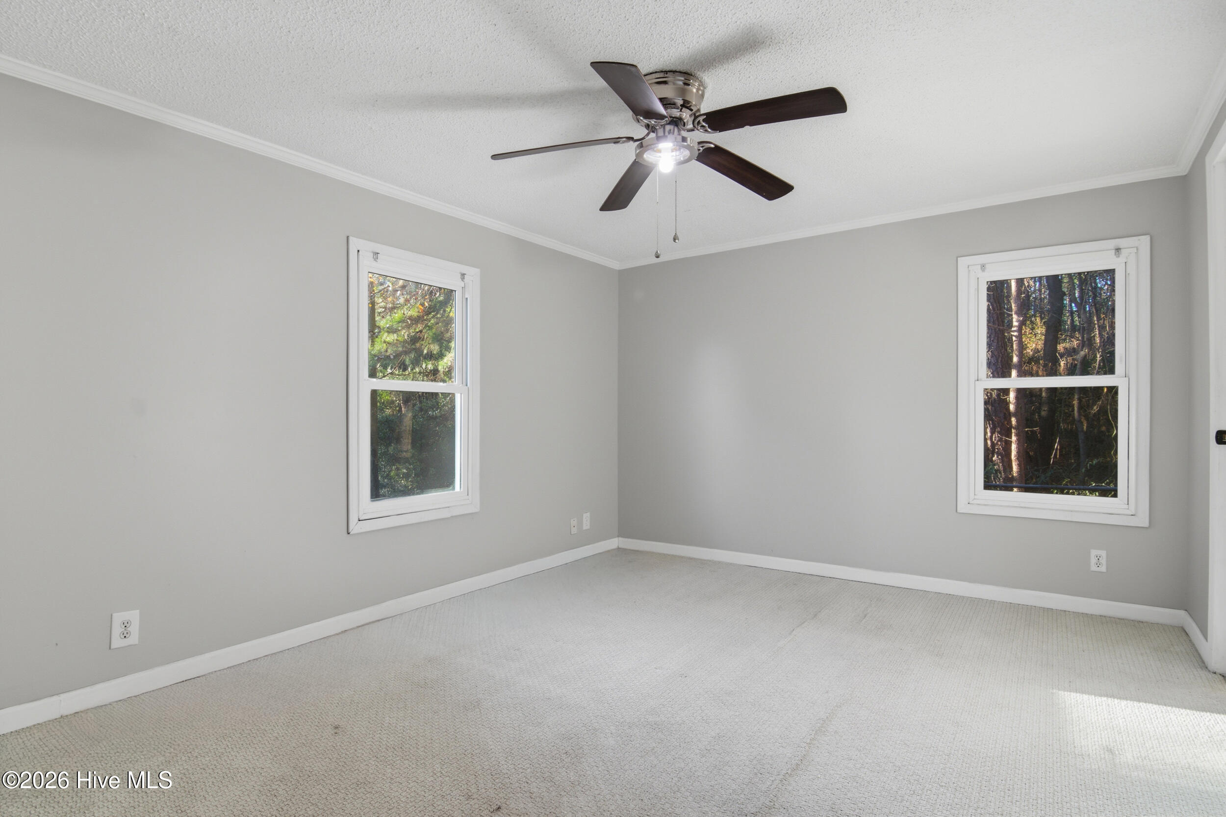 100547212 | Photo 16