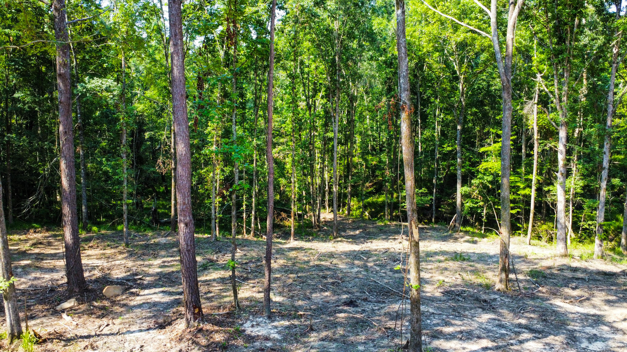 0 Backway Road, Lincolnton, GA, 30817