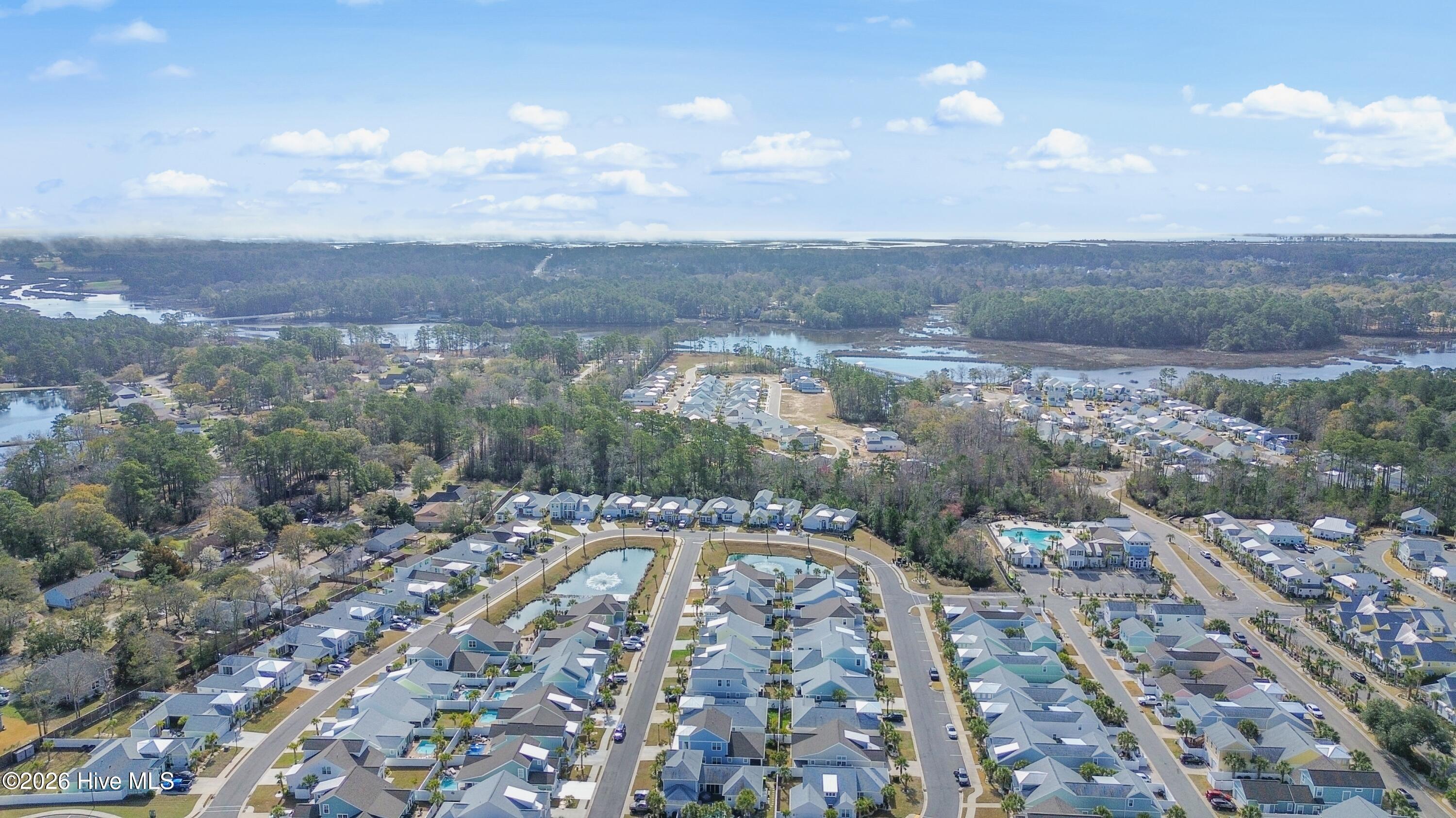 100558593 | Photo 34