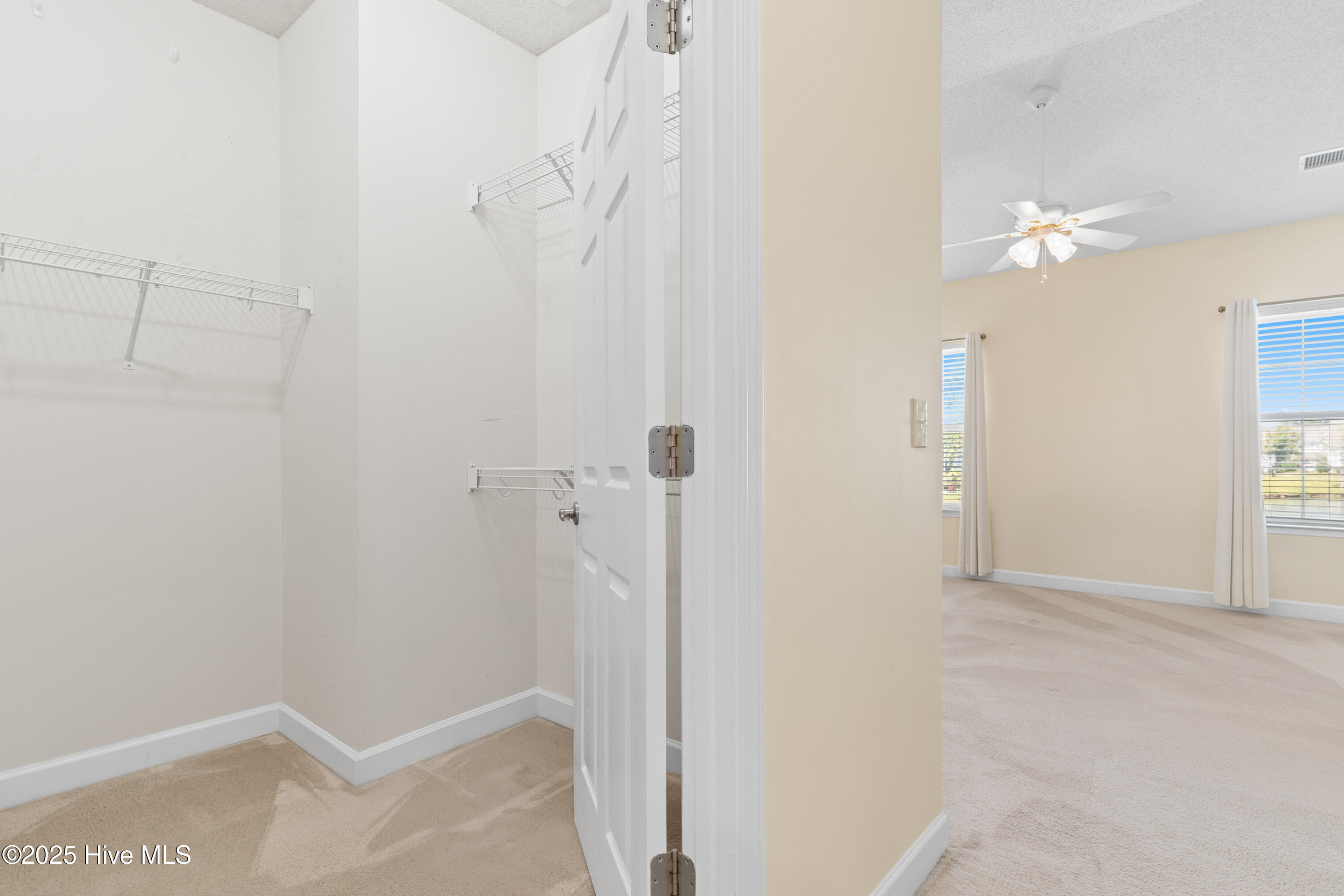 100529501 | Photo 29