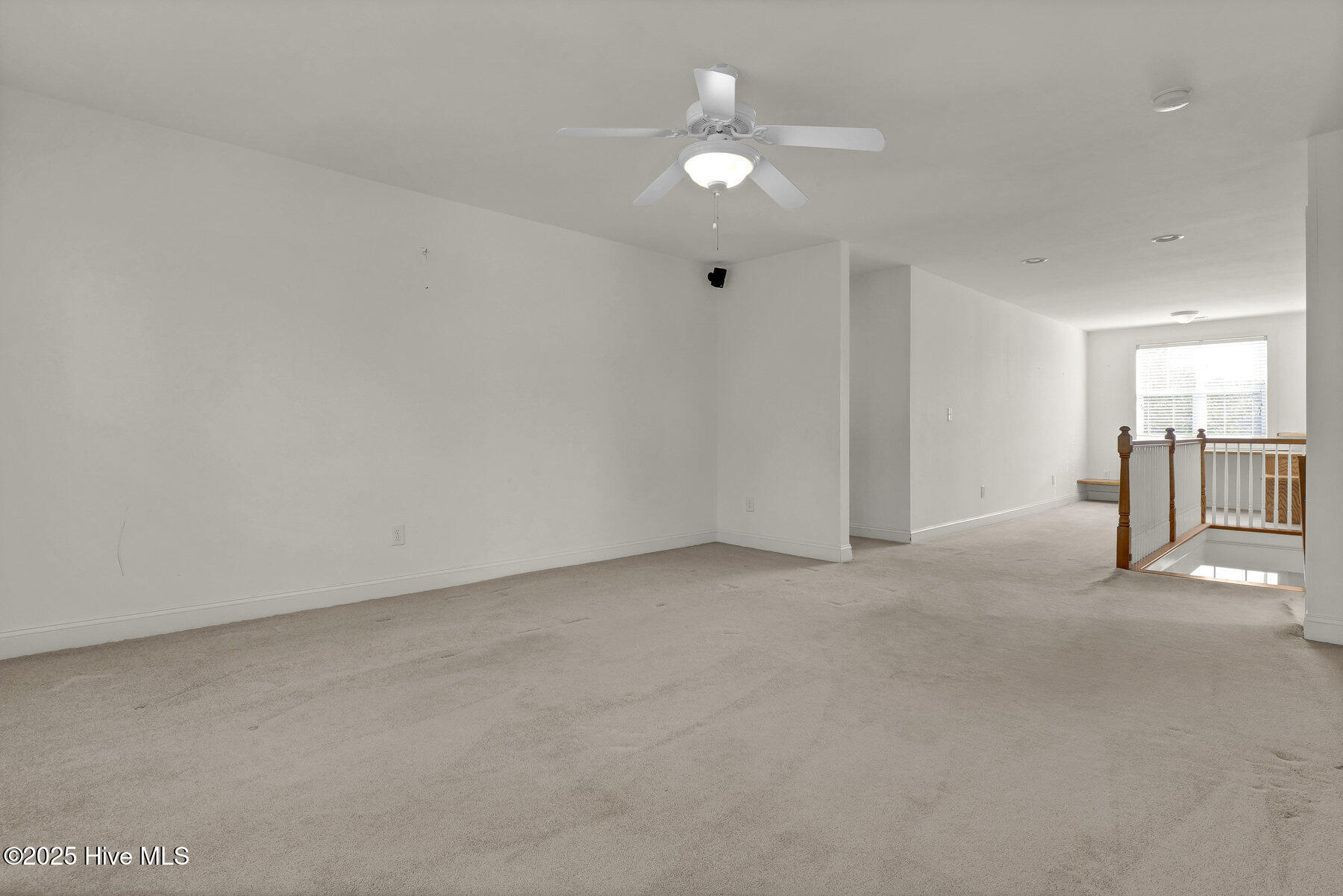 100540144 | Photo 24