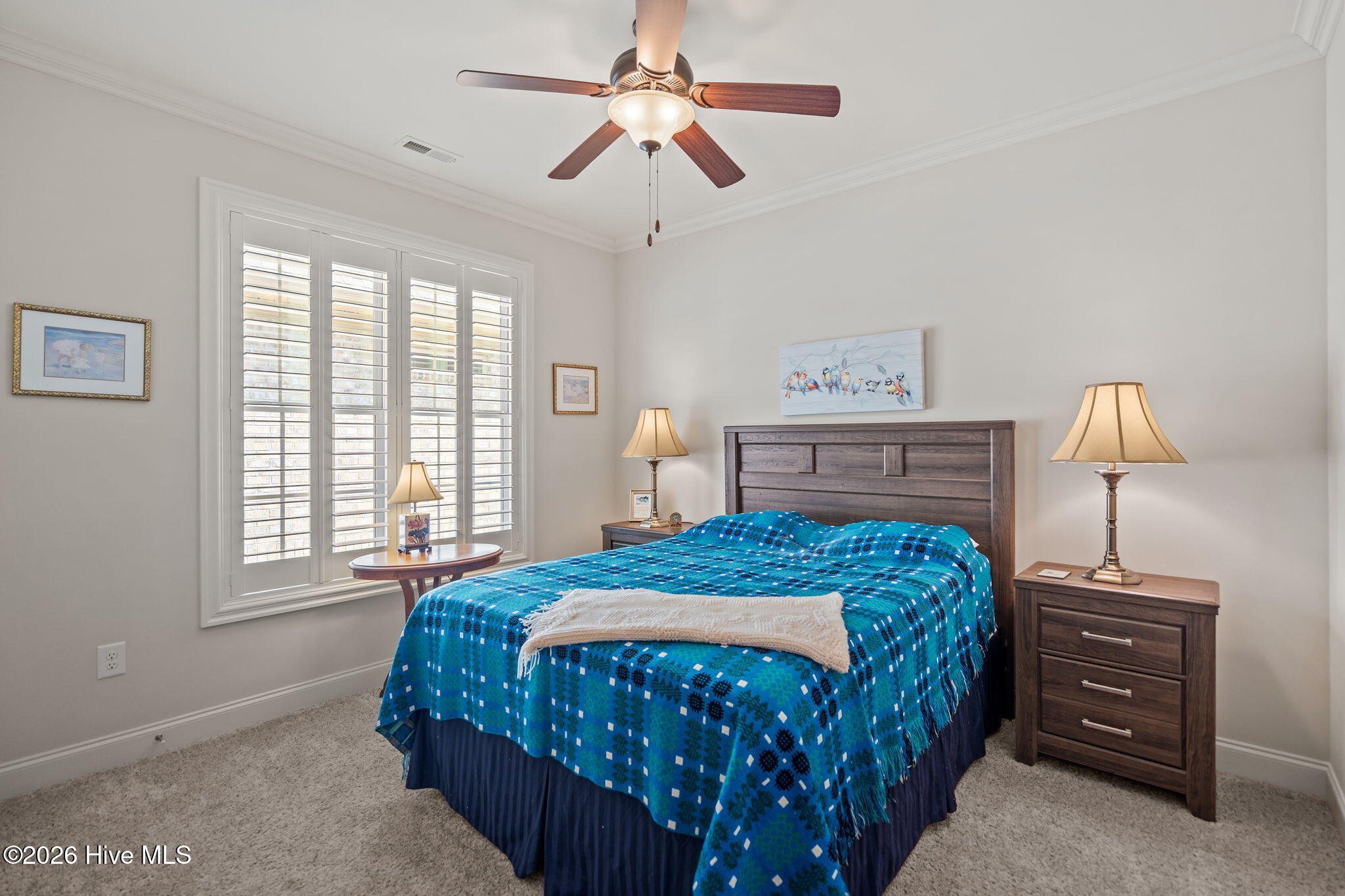 100565416 | Photo 33