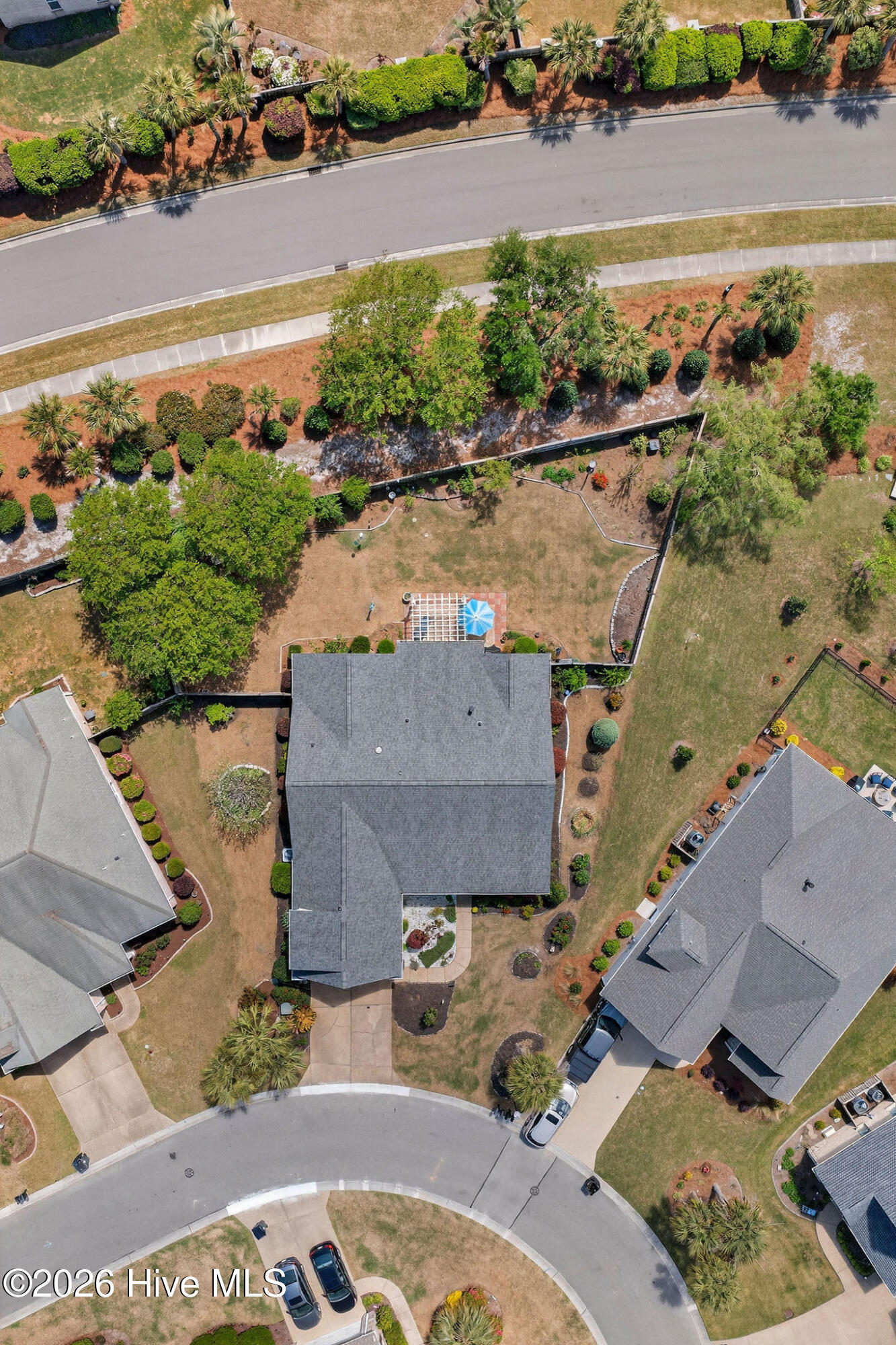 100565729 | Photo 53