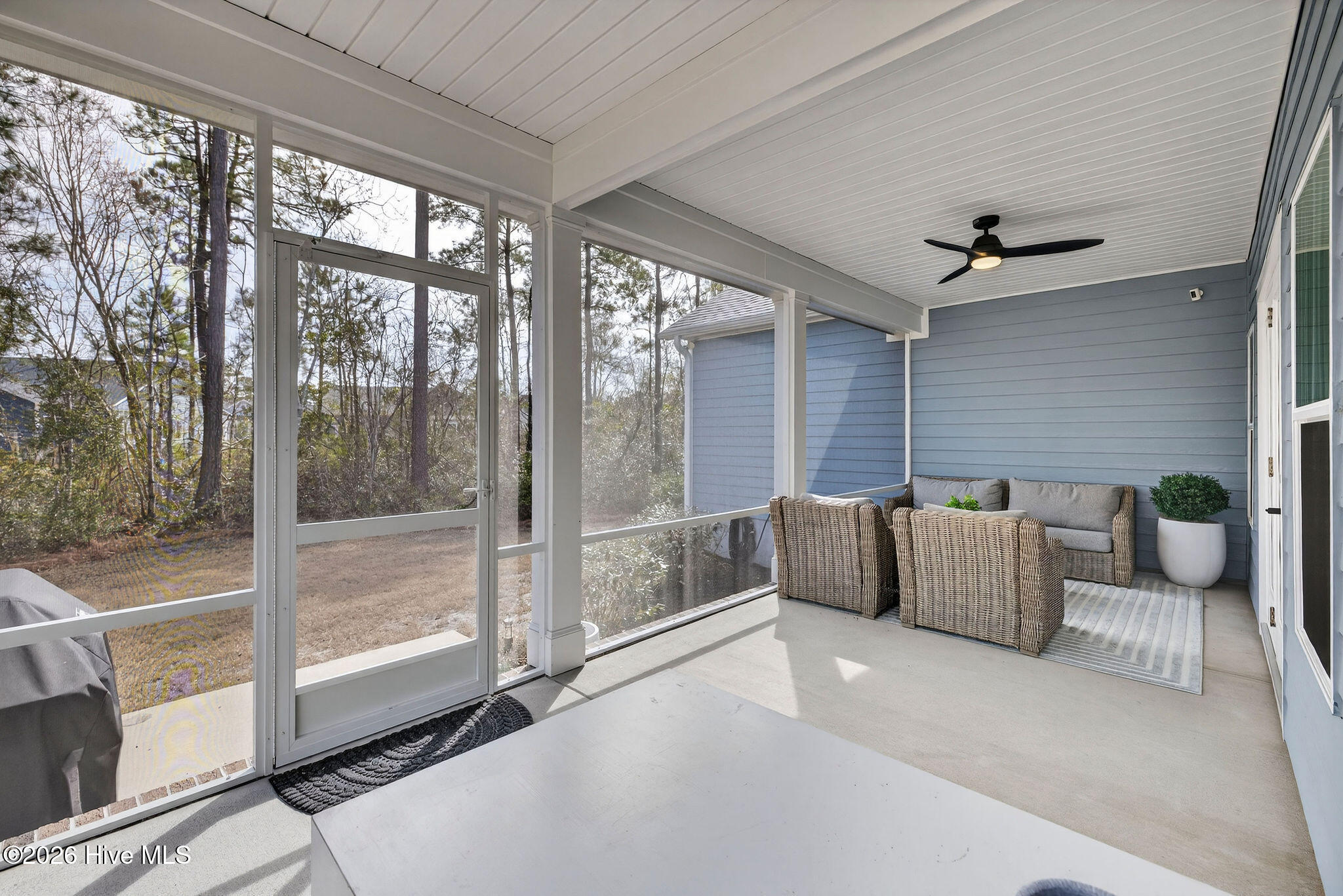 100558378 | Photo 45