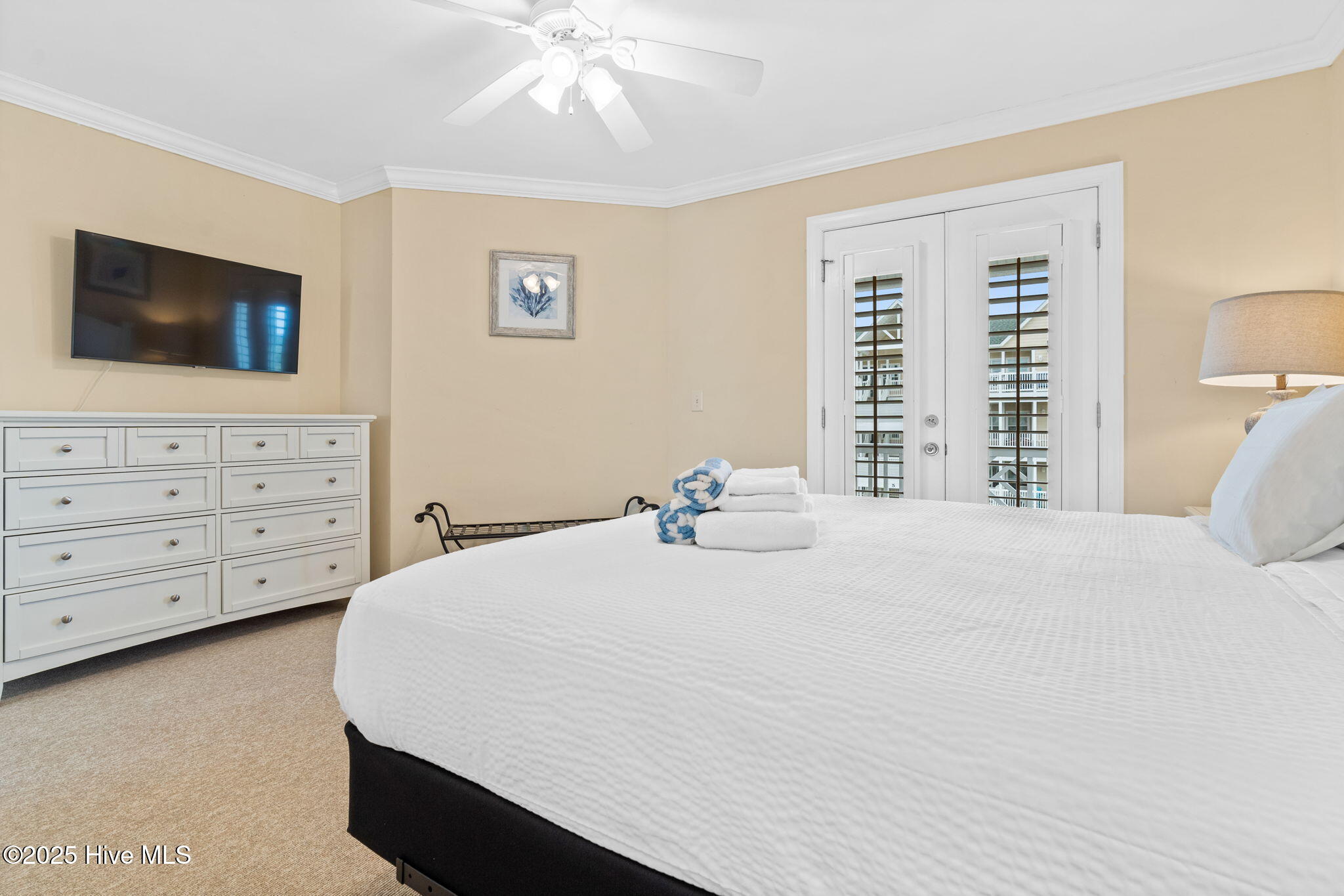 100498196 | Photo 62