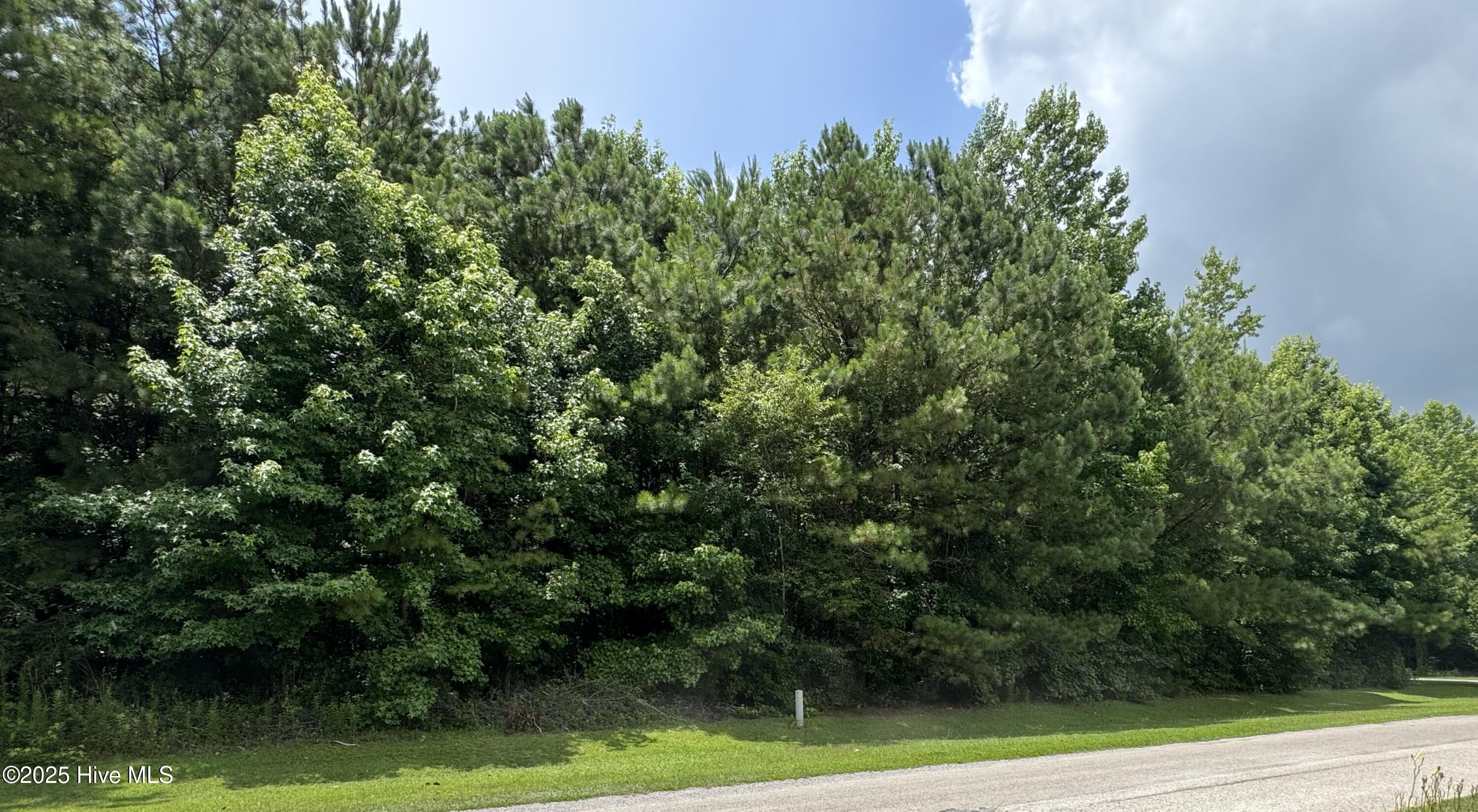 Homes for sale in Whiteville, NC | 263 Whites Crossing Ln, Whiteville, NC 28472 | MLS# 100517363