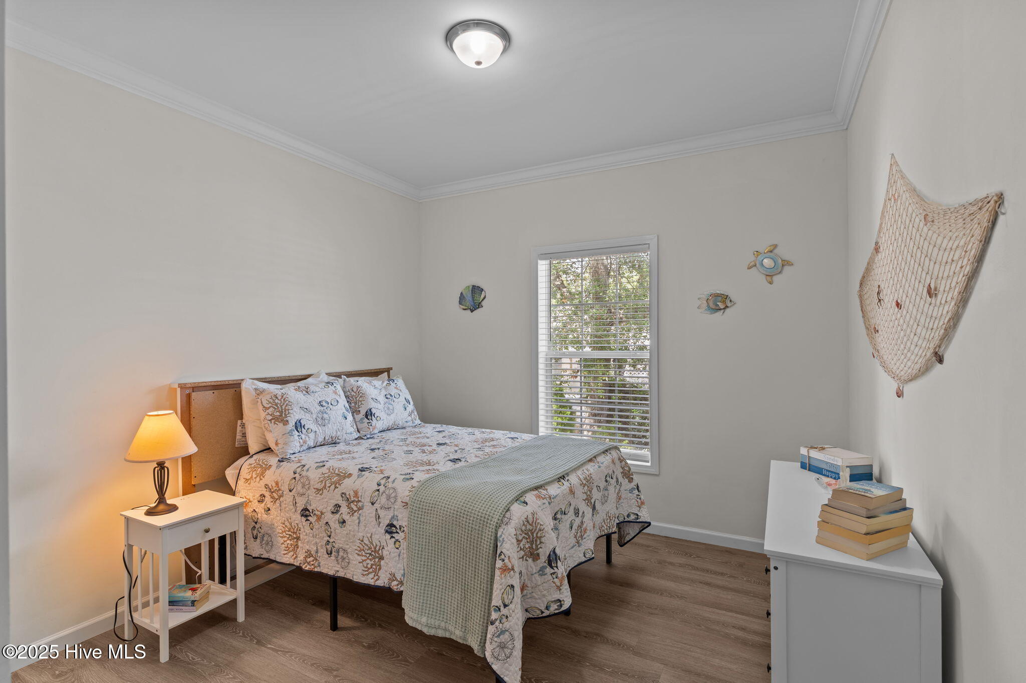 100535377 | Photo 30