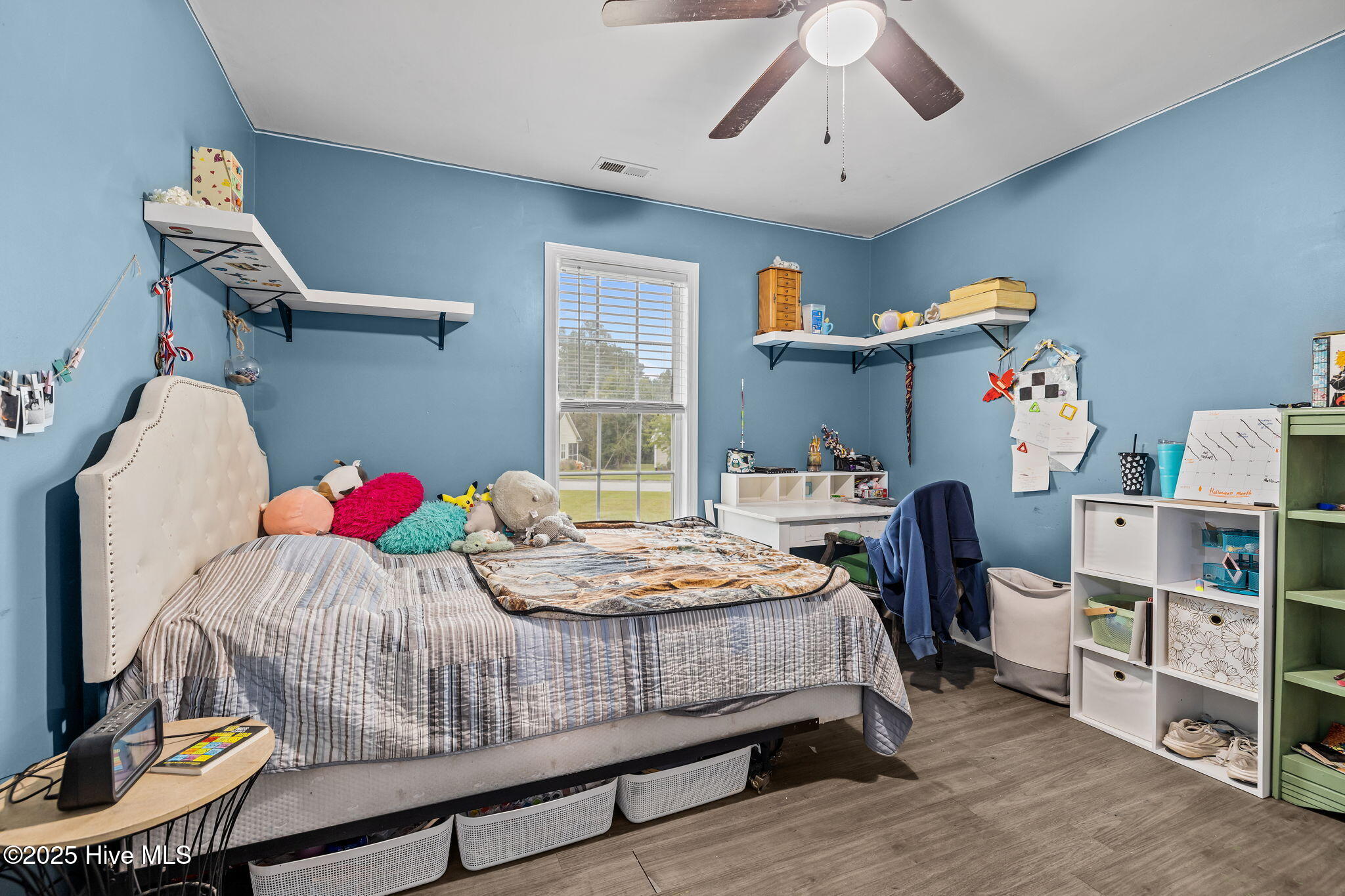 100545646 | Photo 20