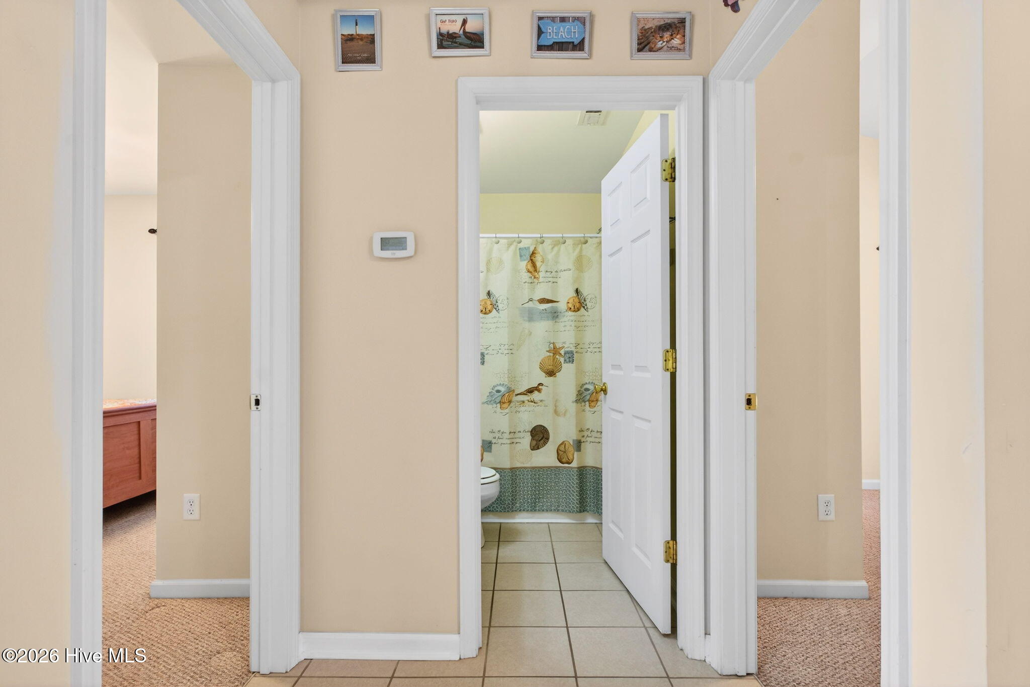 100558532 | Photo 37