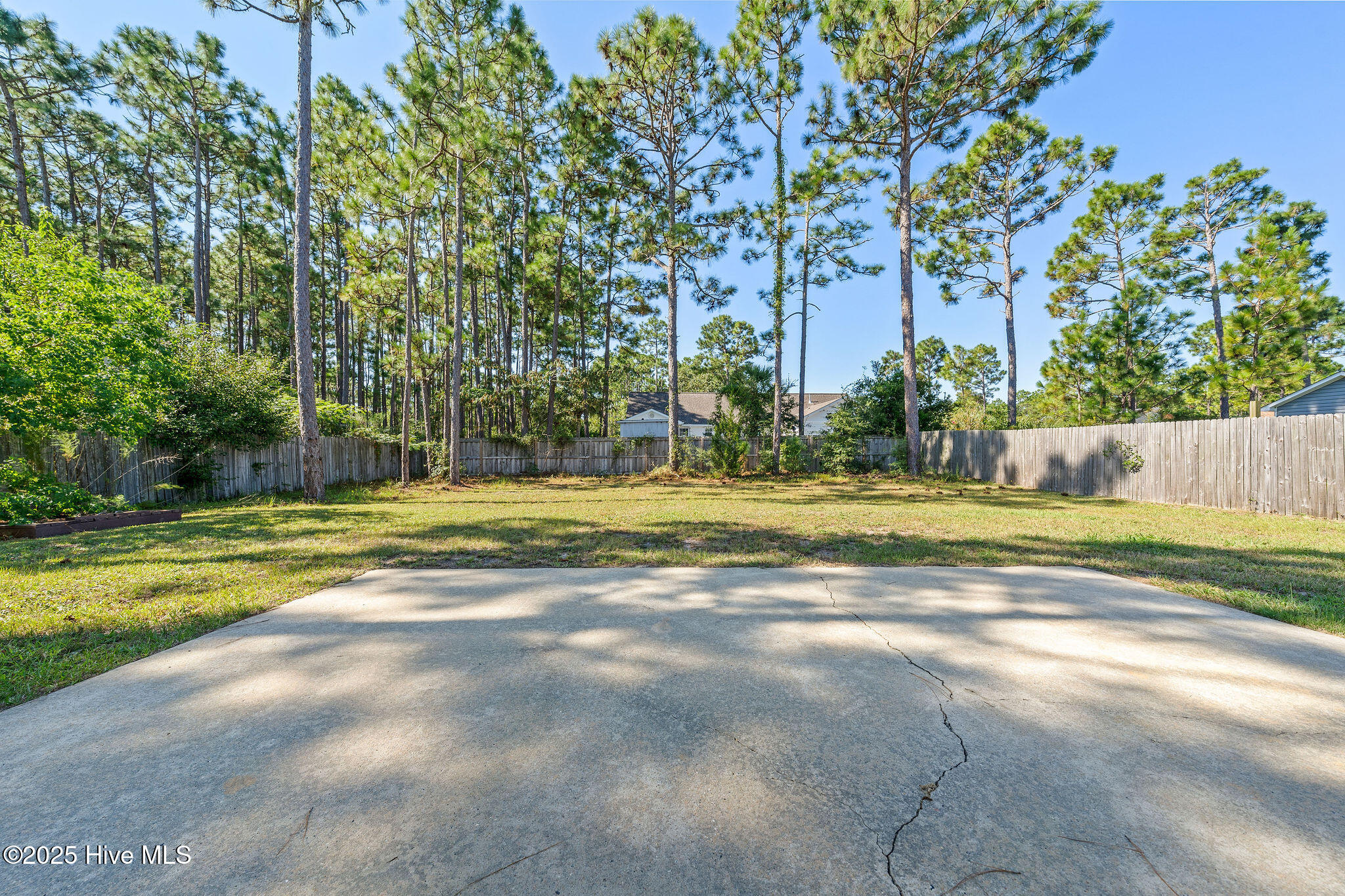 100516282 | Photo 25