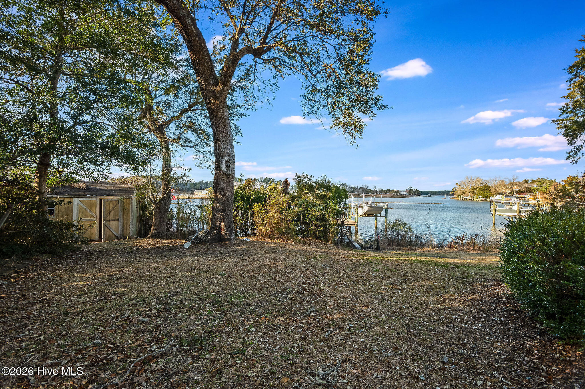 100556602 | Photo 82