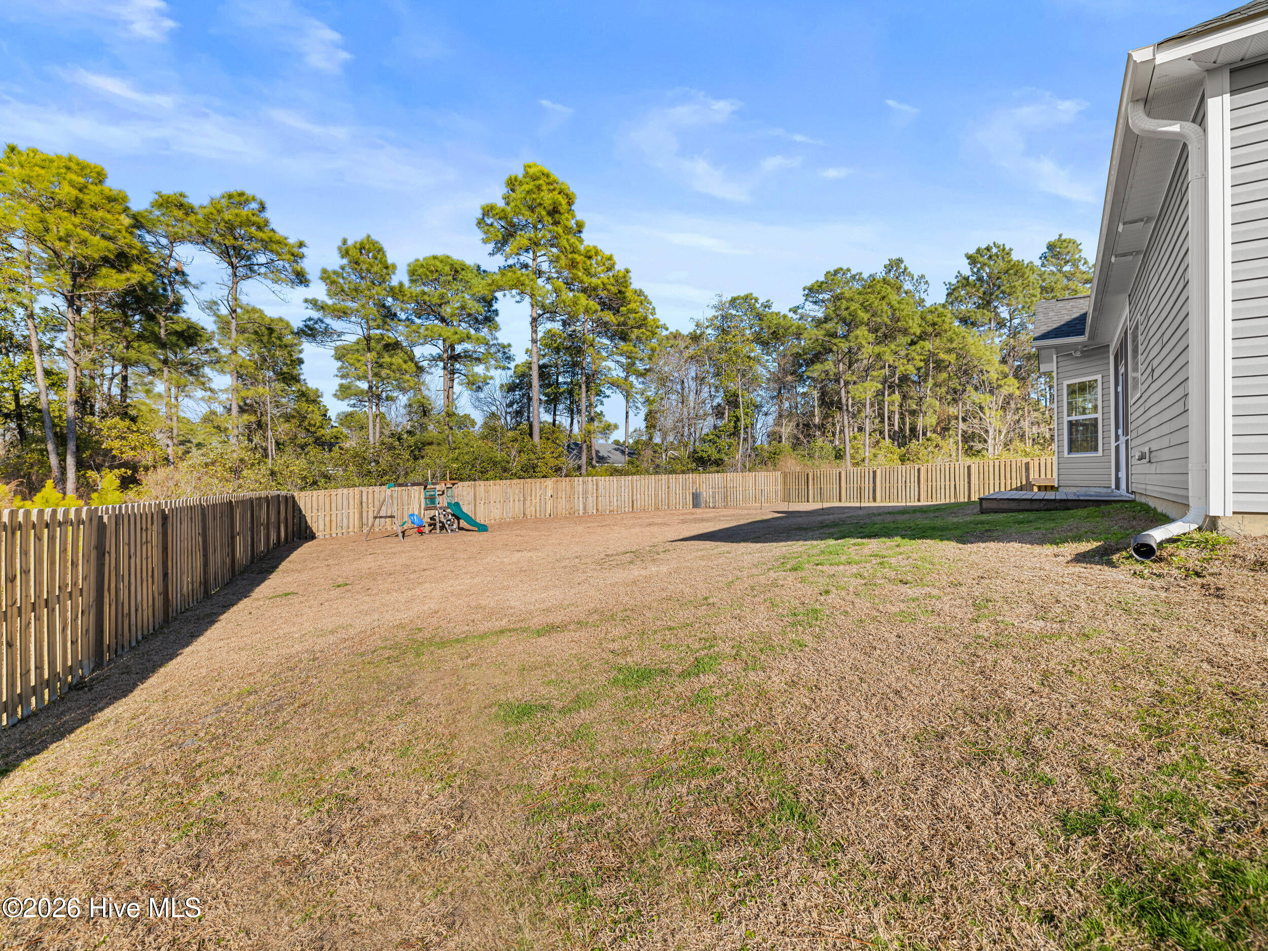 100553436 | Photo 54