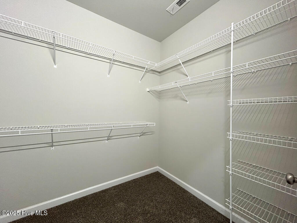 100522239 | Photo 37