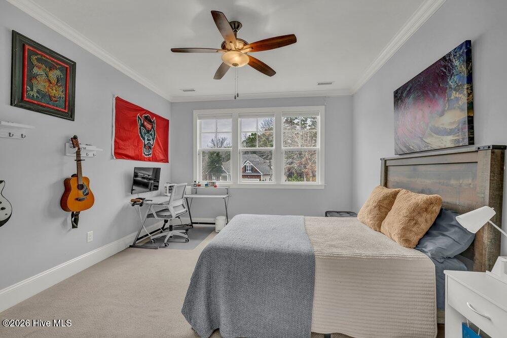 100555857 | Photo 30