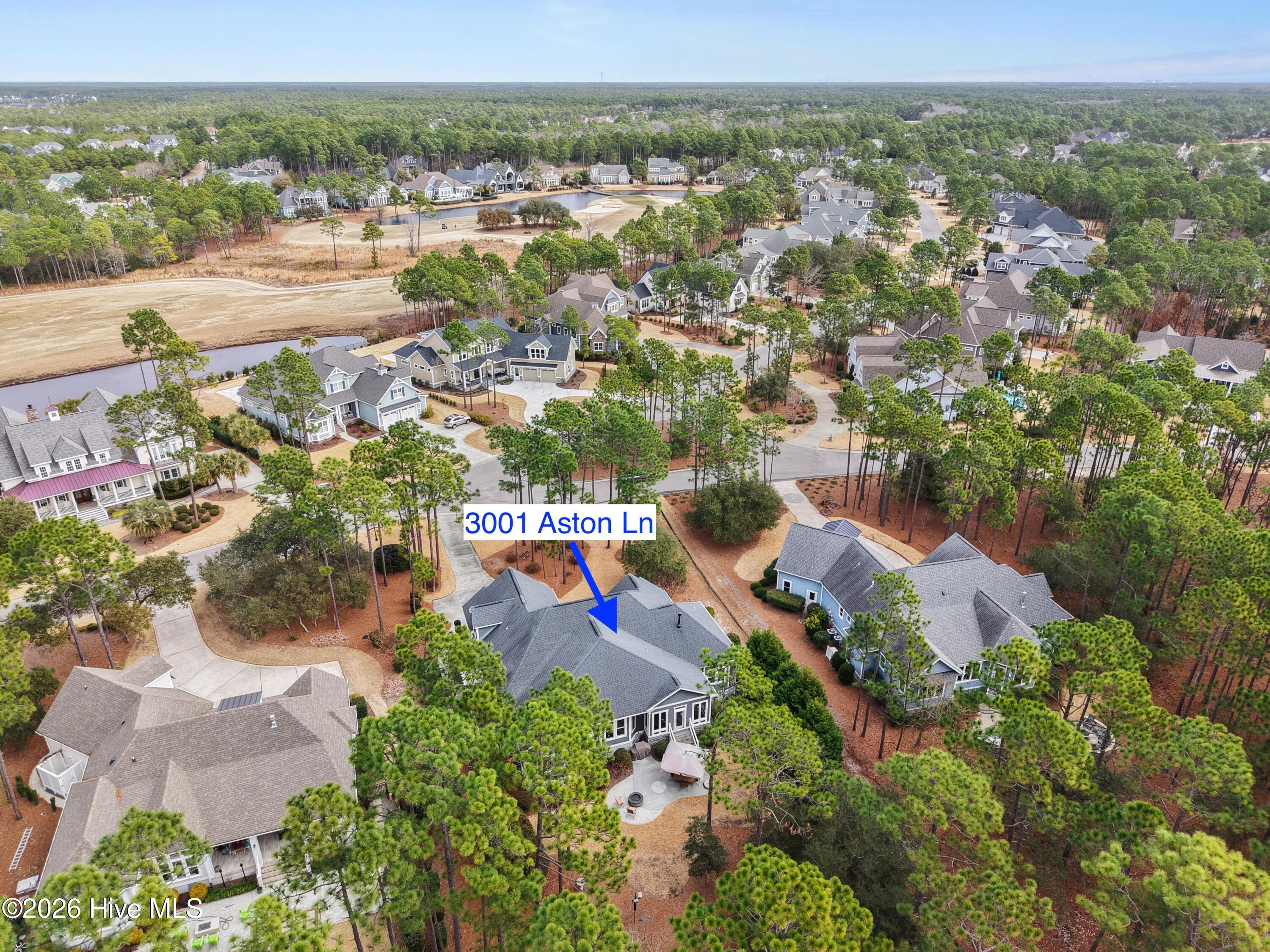 100555606 | Photo 67