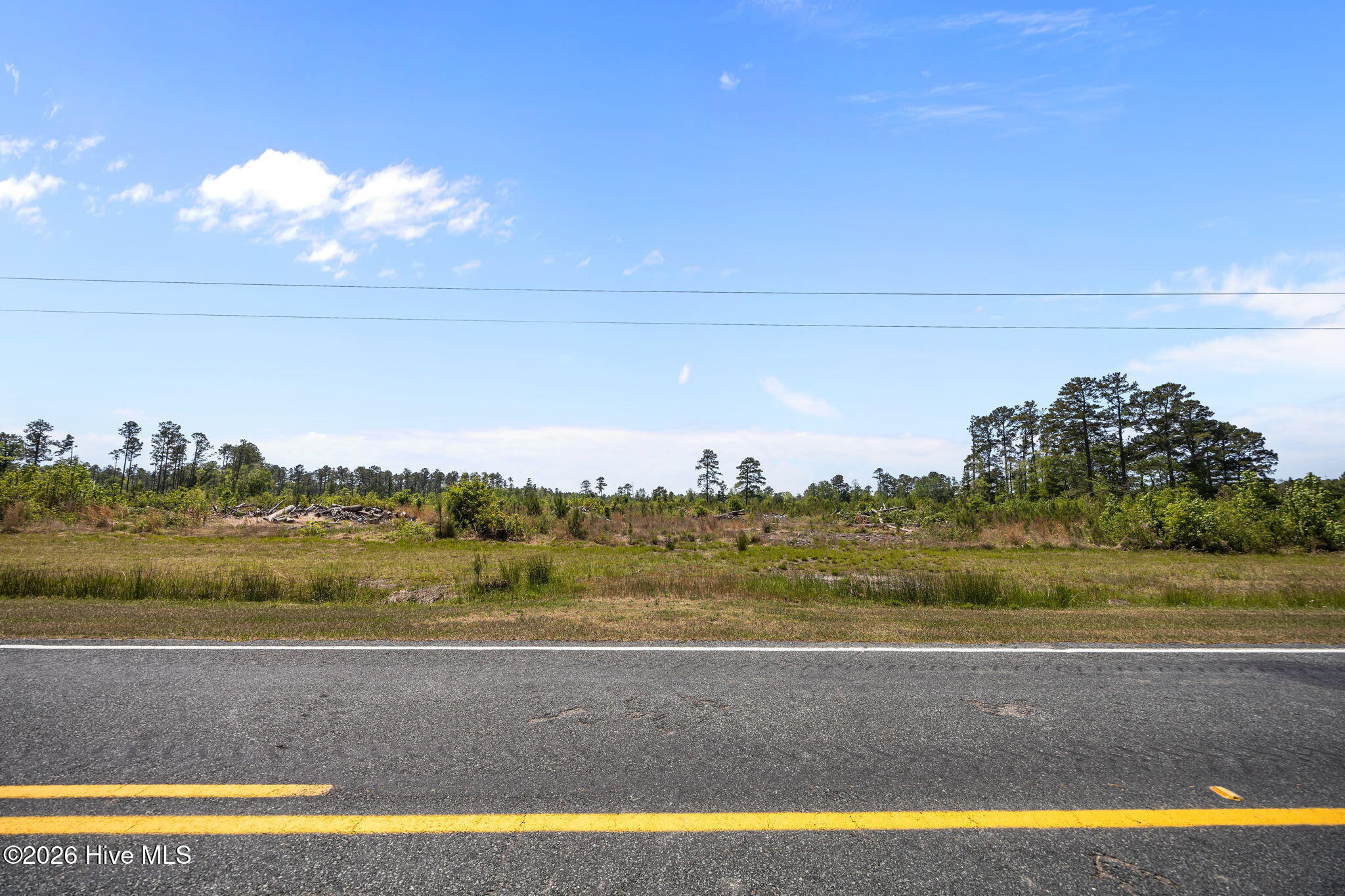 100569049 | Photo 12