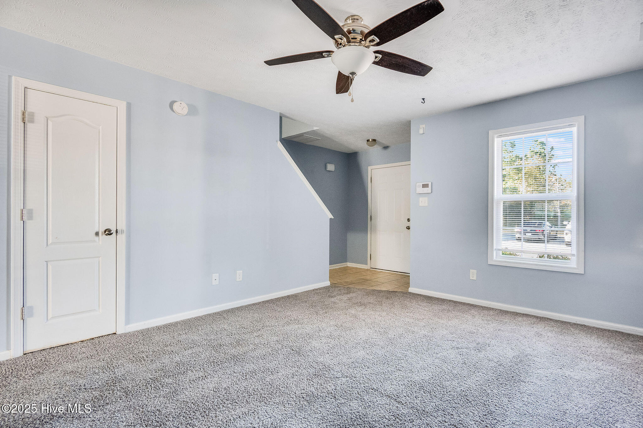 100541408 | Photo 19