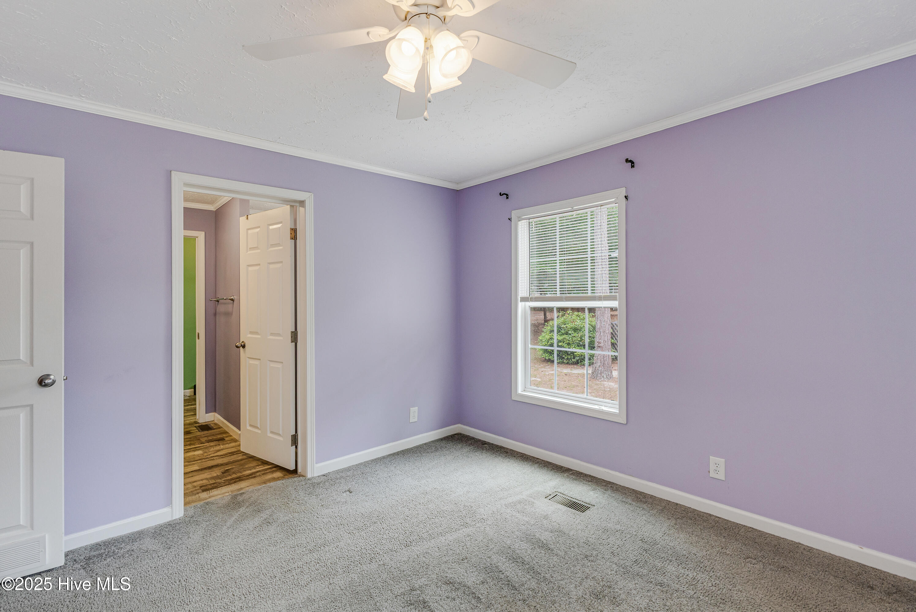 100508775 | Photo 25