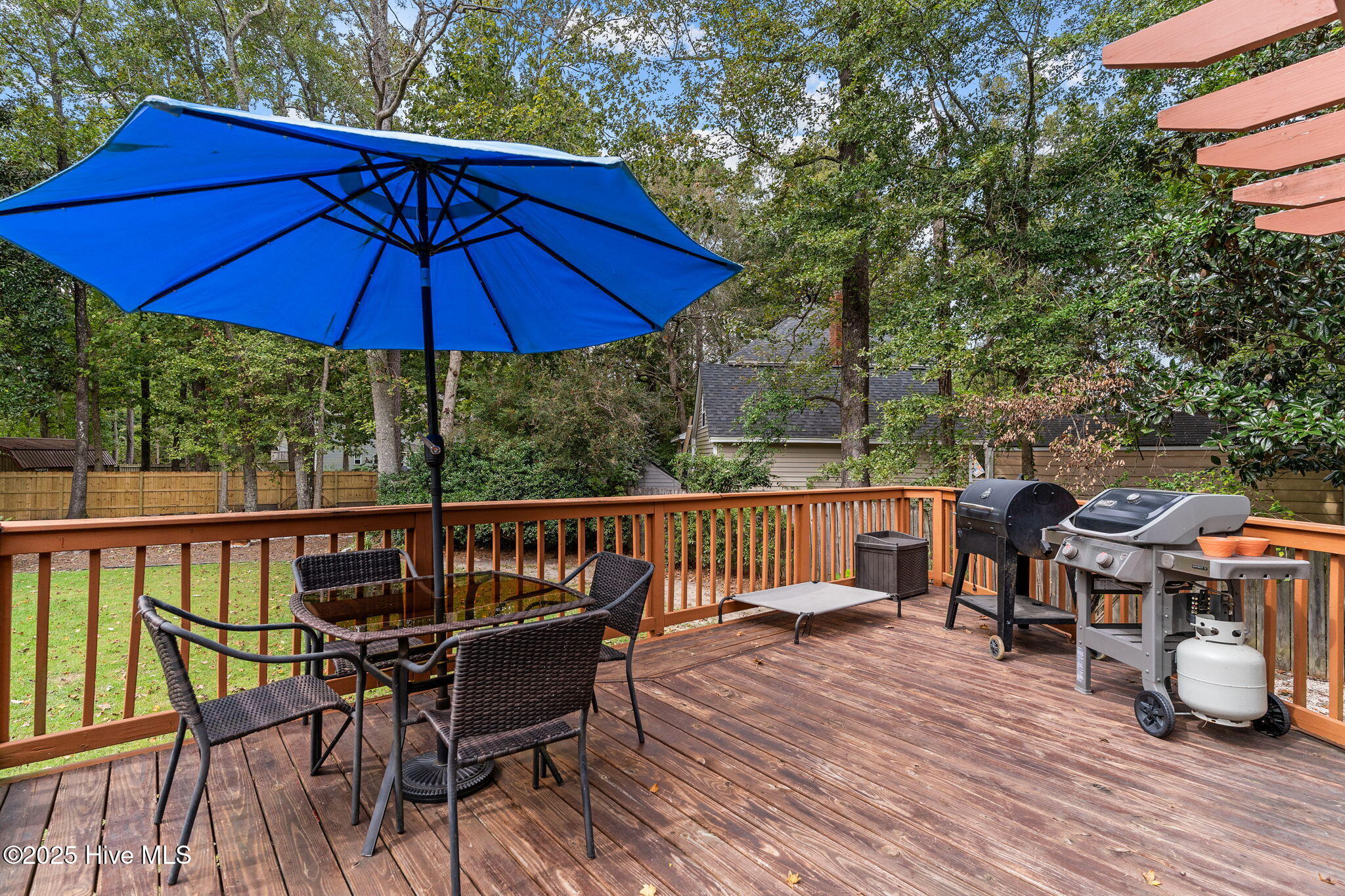 100534535 | Photo 40