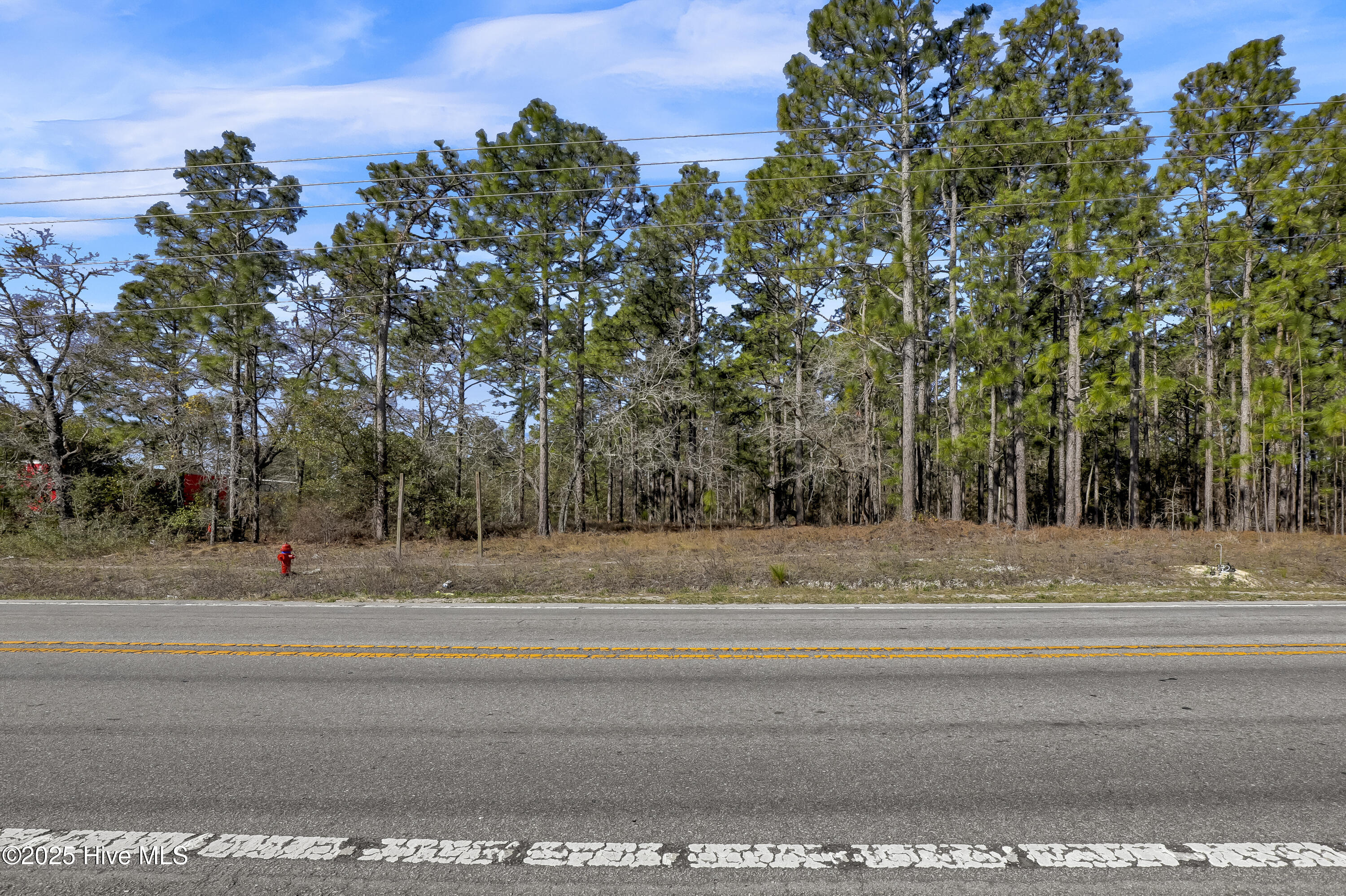 100499078 | Photo 10