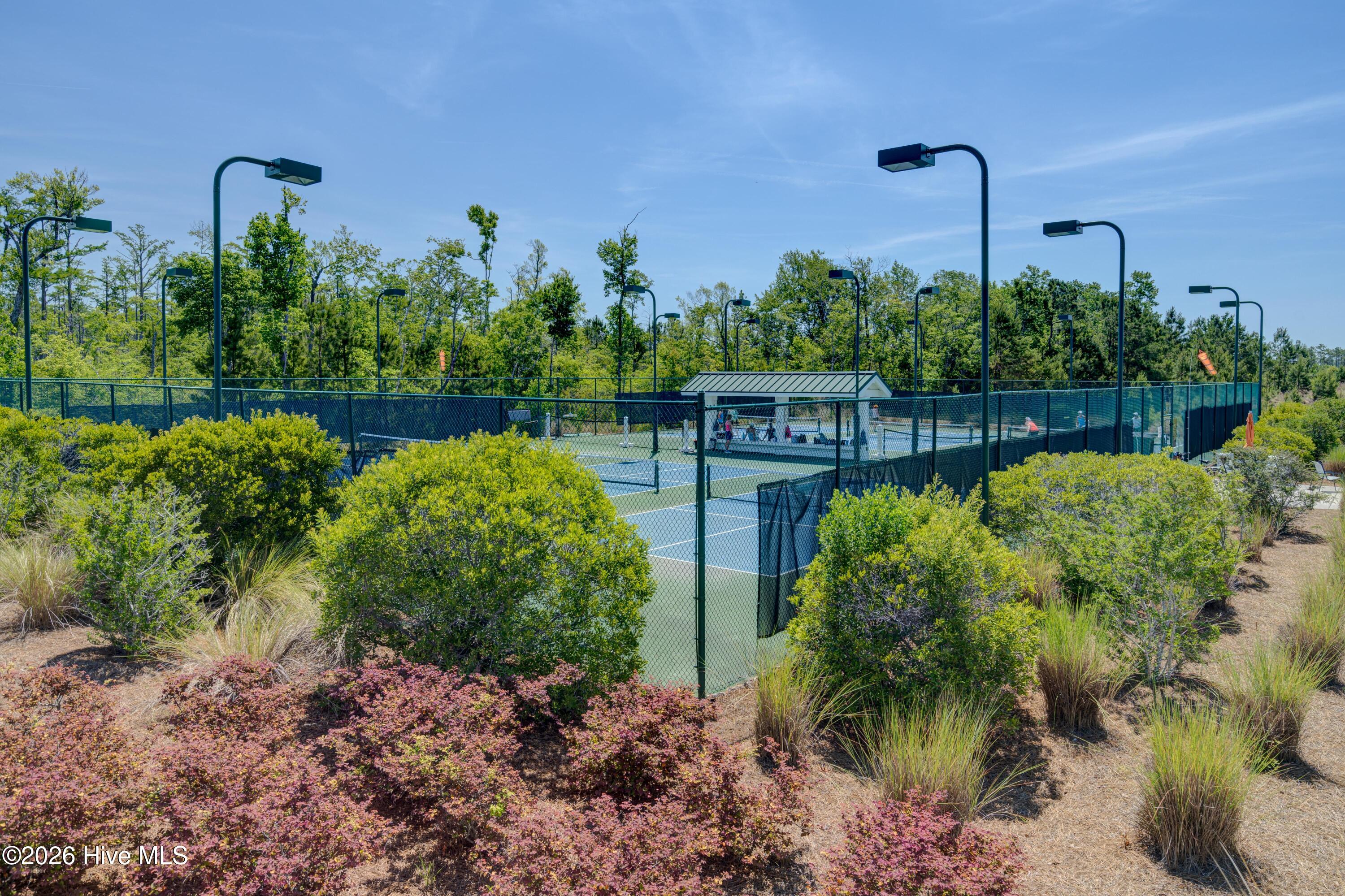 100535228 | Photo 24