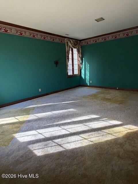 100551549 | Photo 37