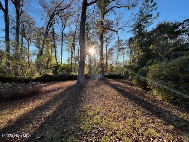 100544999 | Photo 40