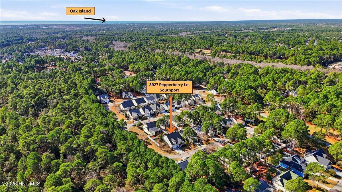 100548229 | Photo 56