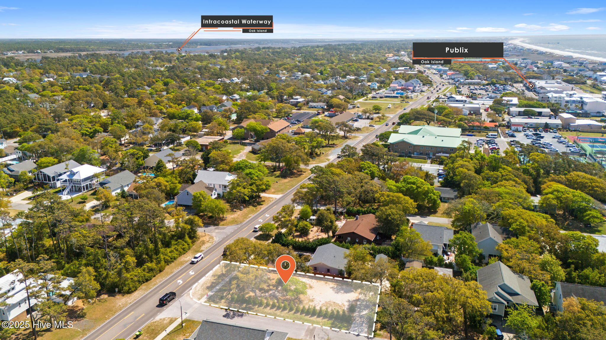 100526137 | Photo 19