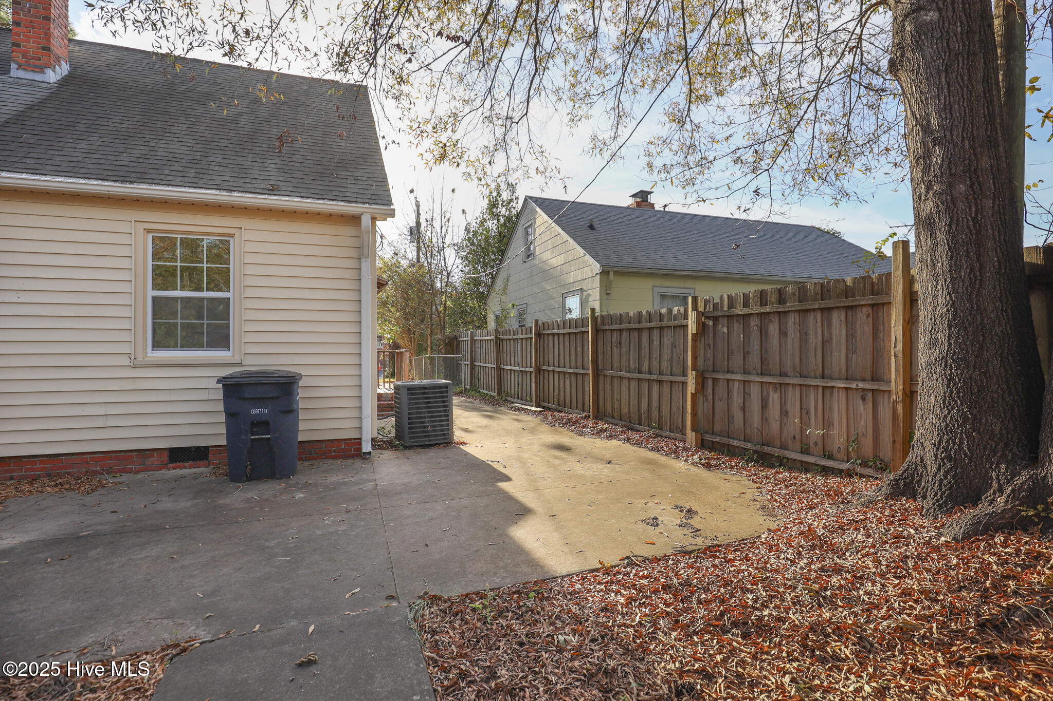 100542091 | Photo 37