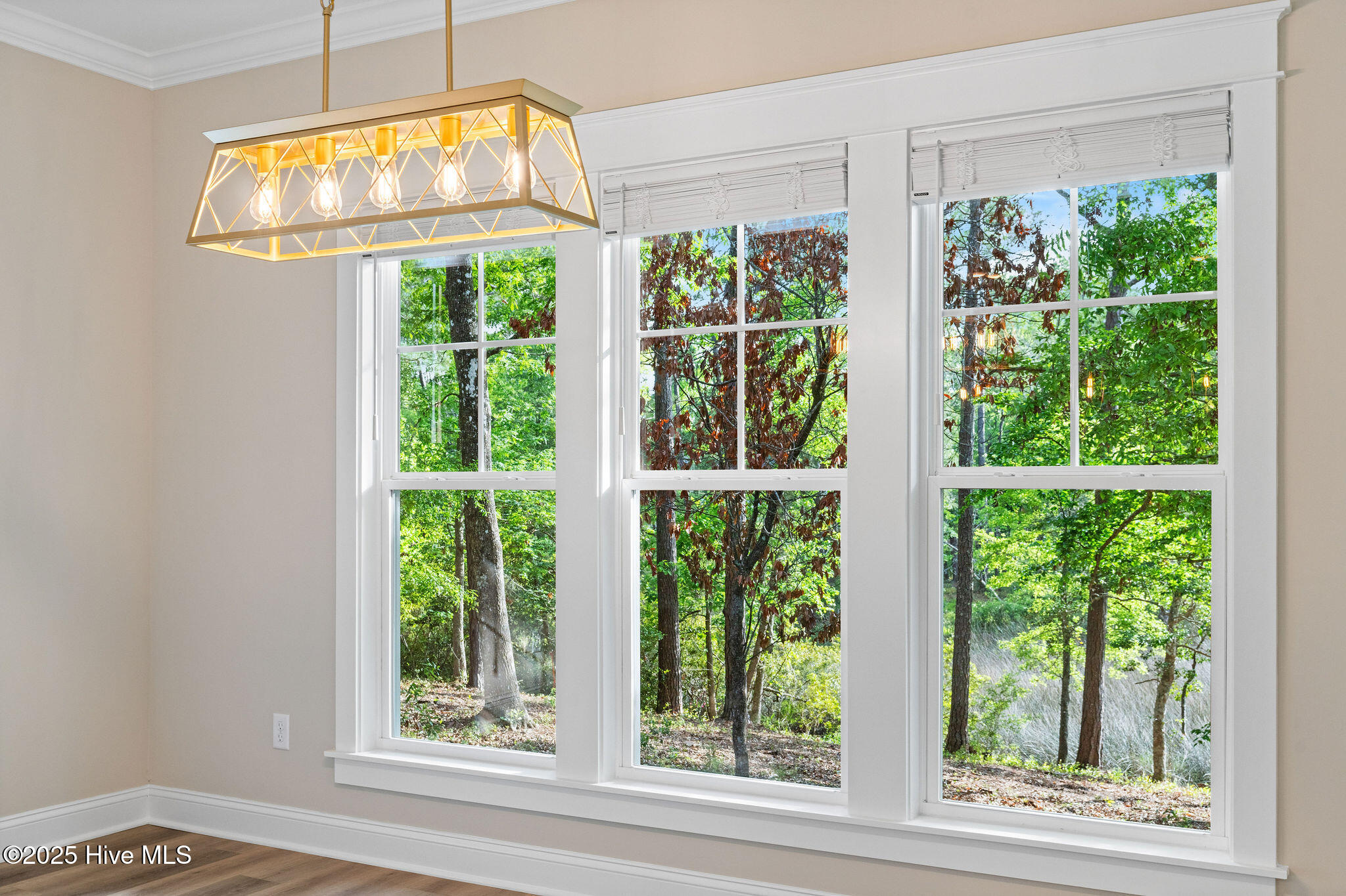 100524622 | Photo 28