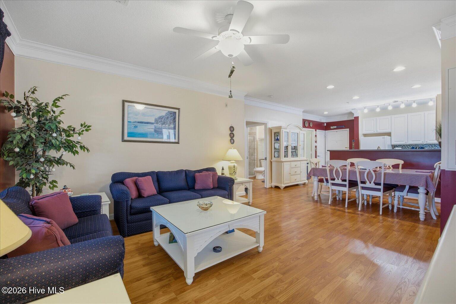 100558706 | Photo 11