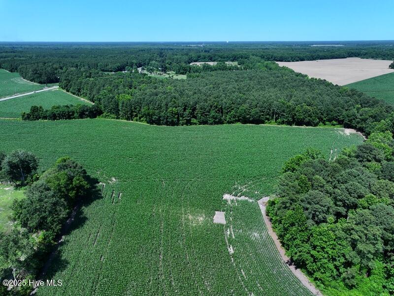 Homes for sale in Red Springs, NC | Tbd Hwy 71, Red Springs, NC 28377 | MLS# 100512614