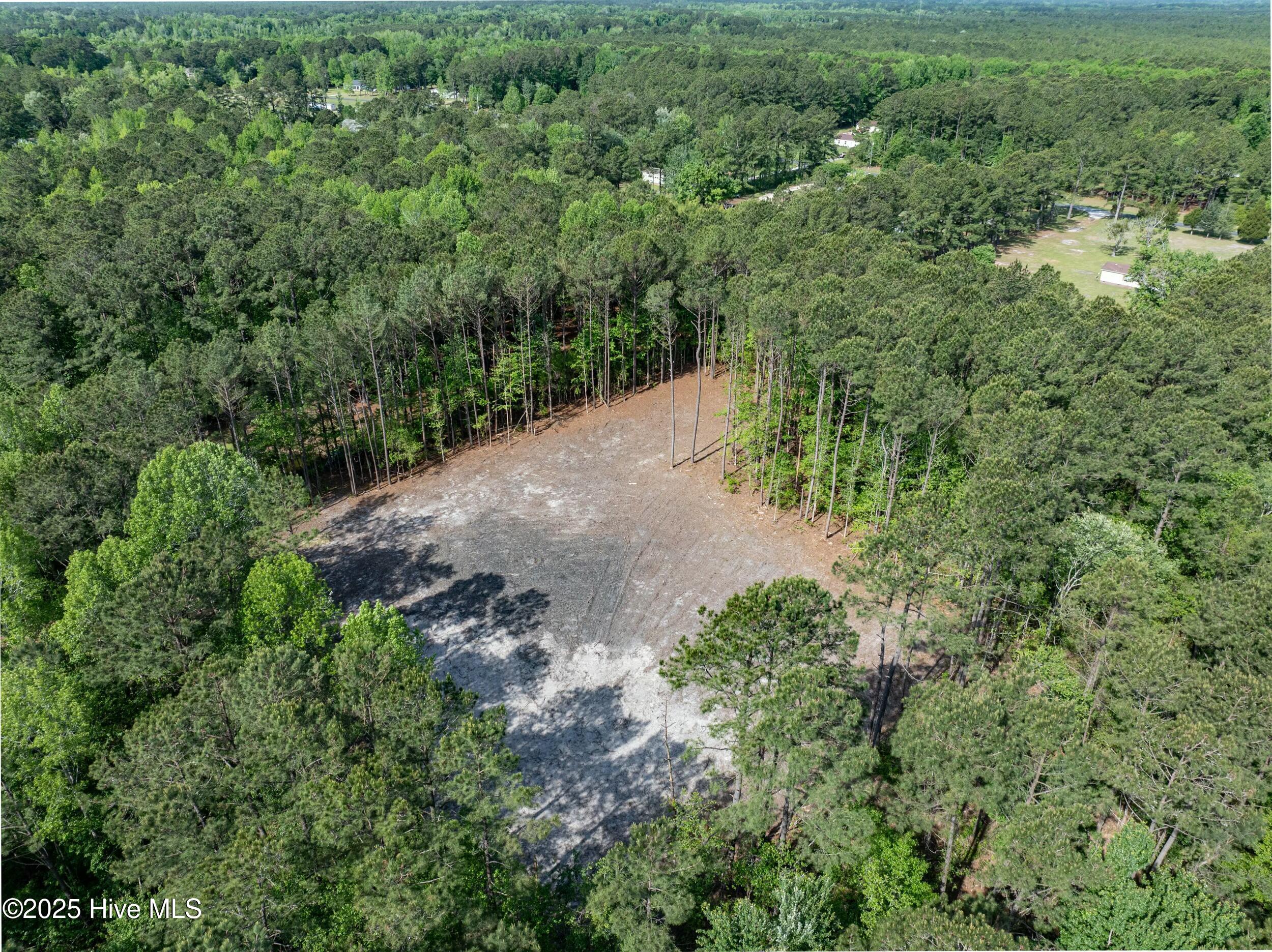 100503919 | Photo 22