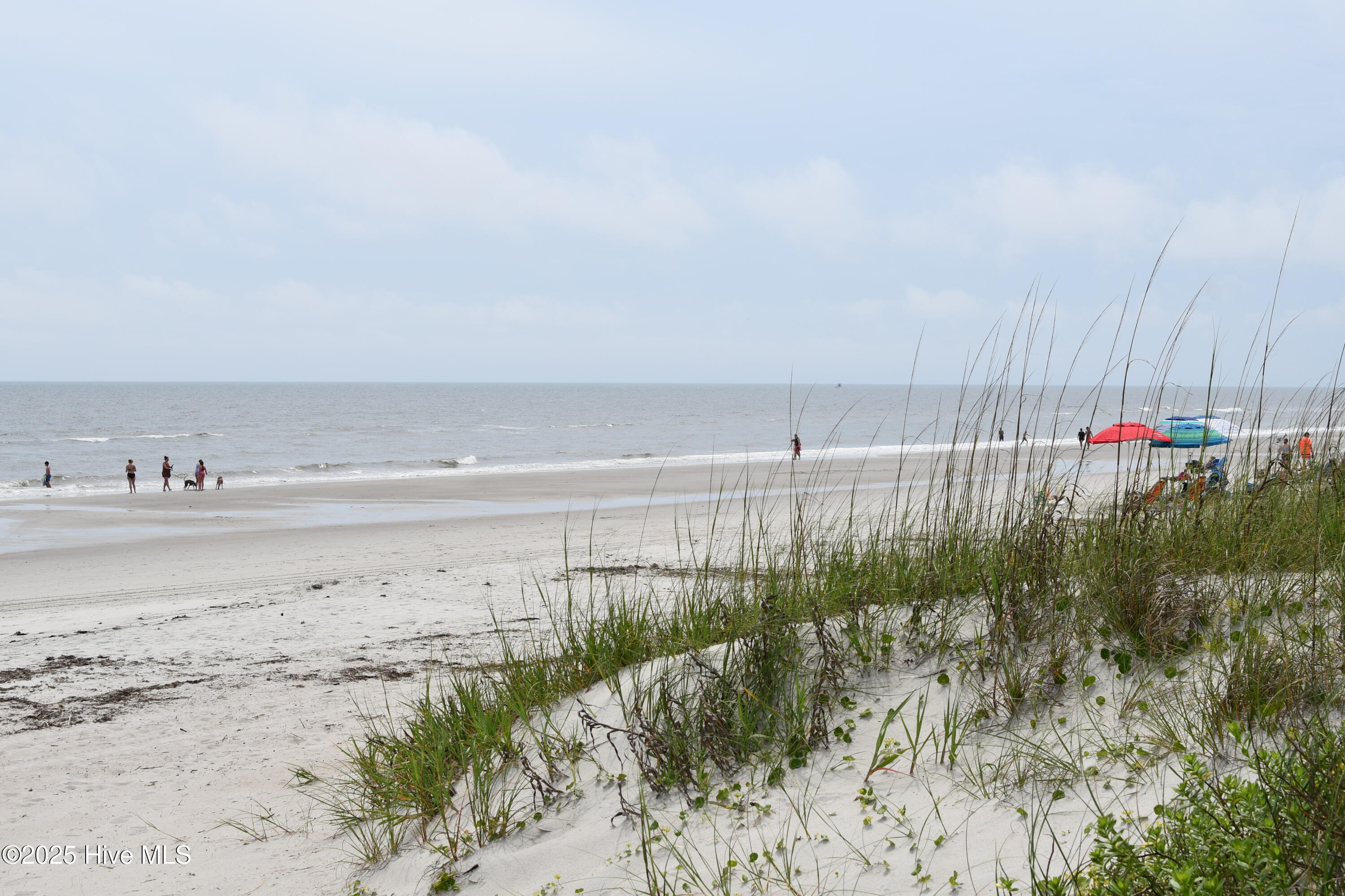 100564186 | Photo 27