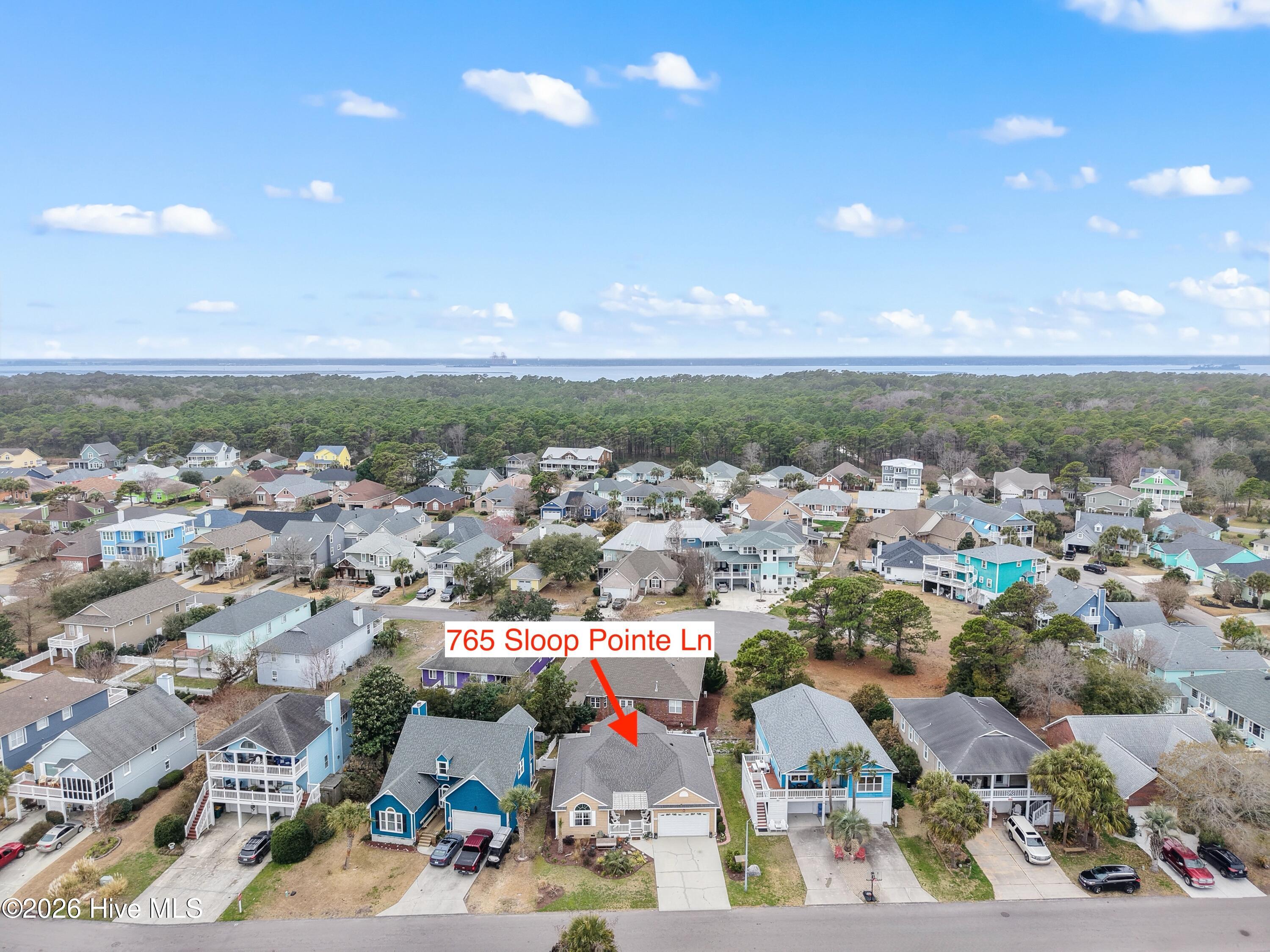 100558104 | Photo 54