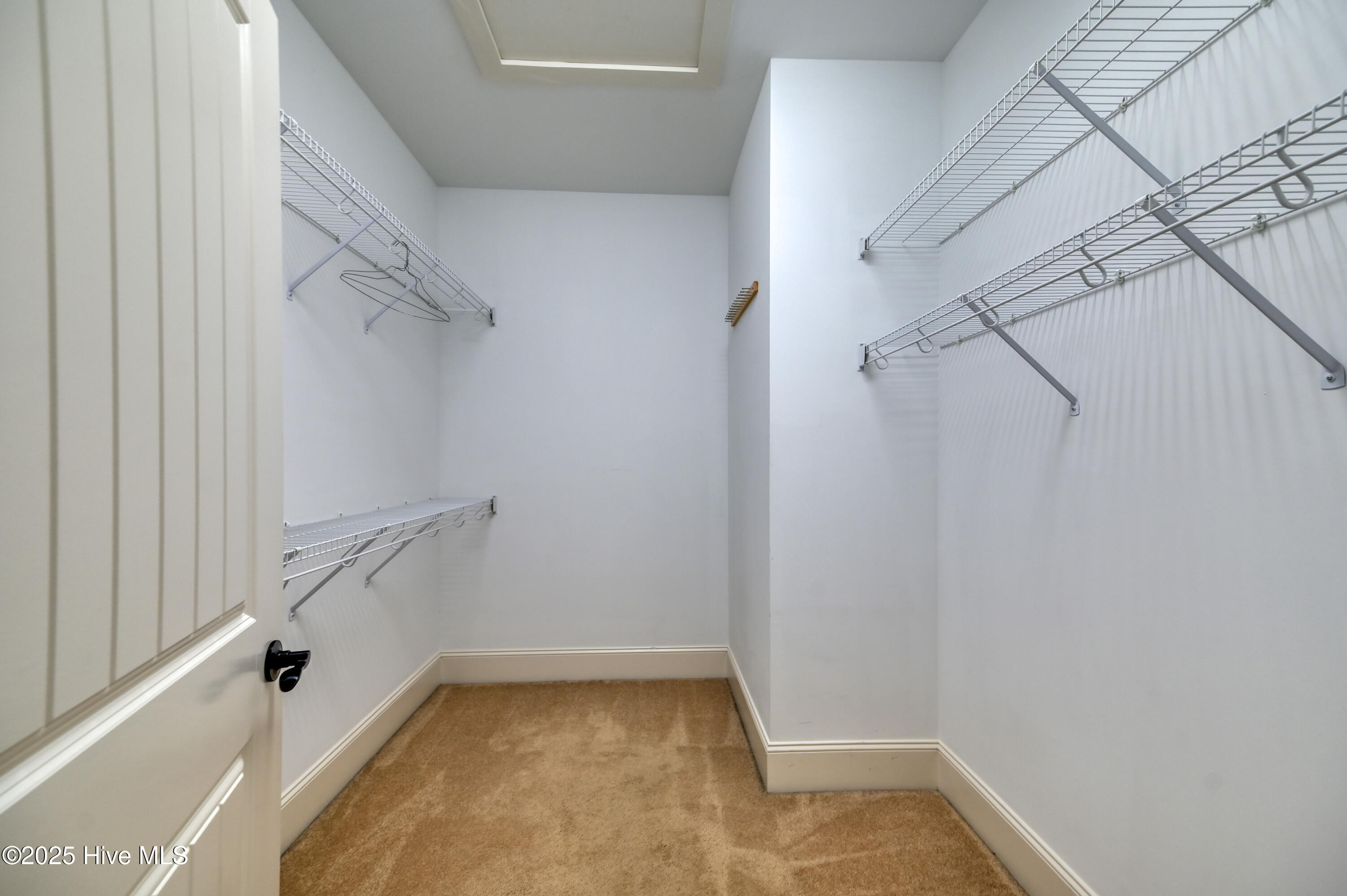 100487602 | Photo 23