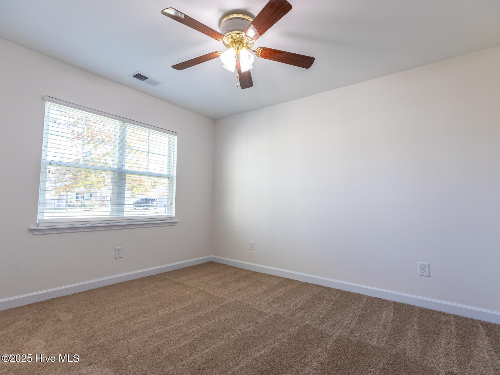 100539425 | Photo 23