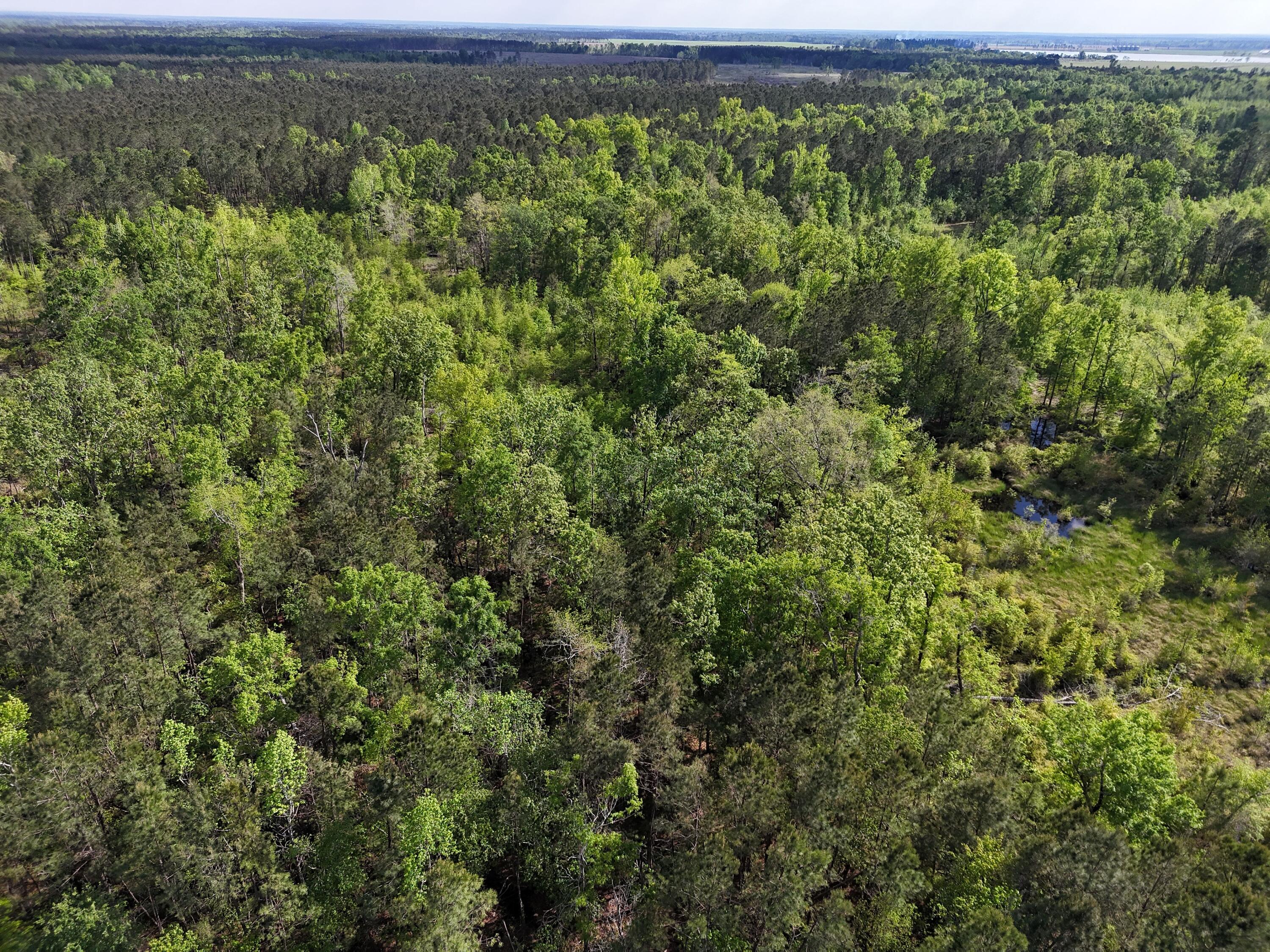 DJI_20250410044205_0029_D