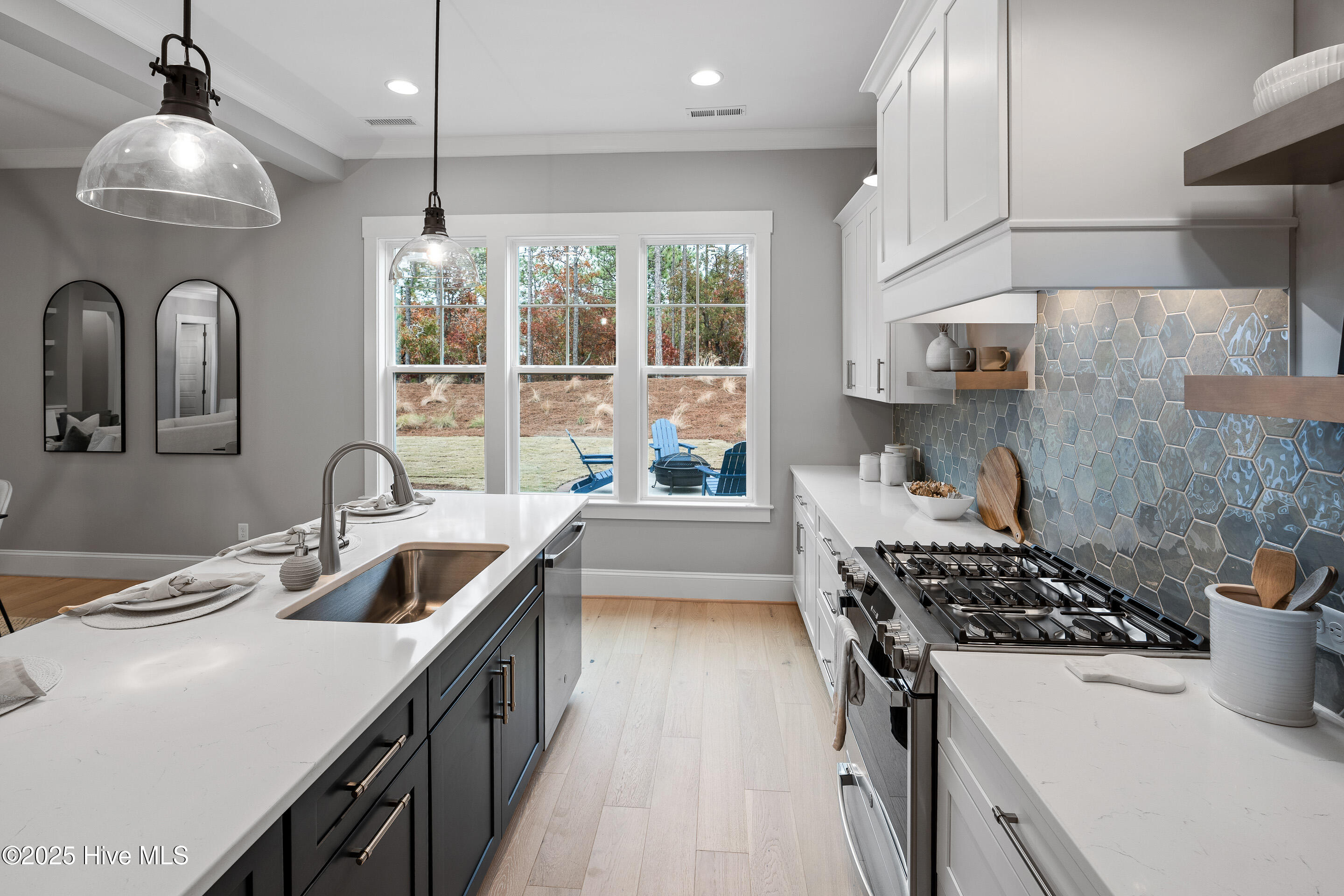 100538796 | Photo 13