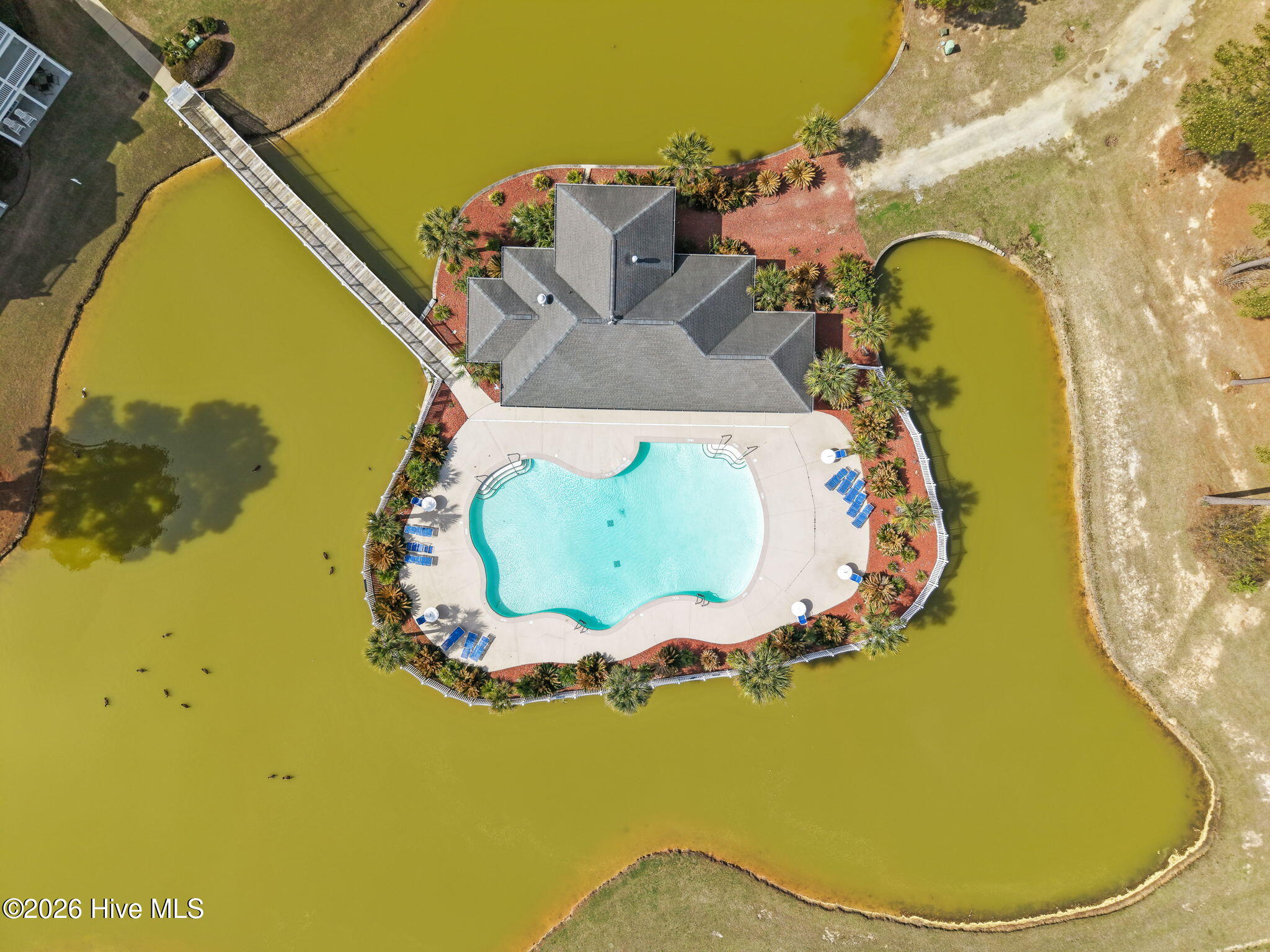 100561971 | Photo 31