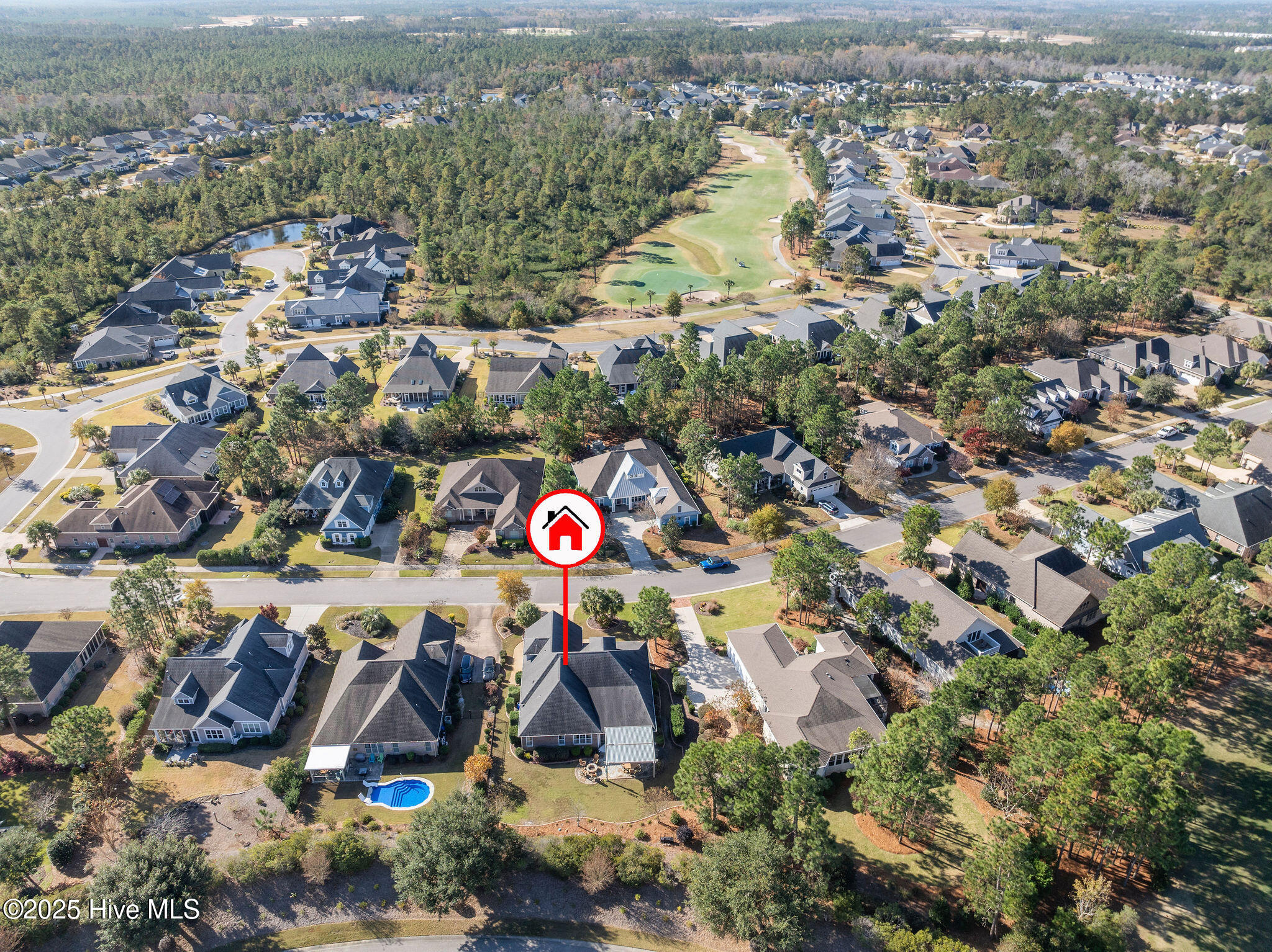 100541913 | Photo 83