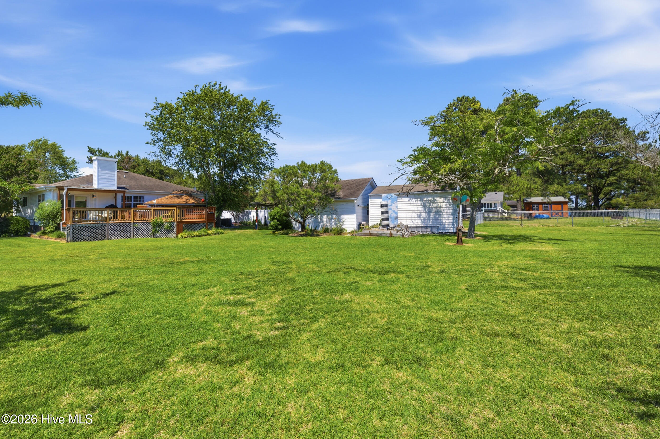 back yard