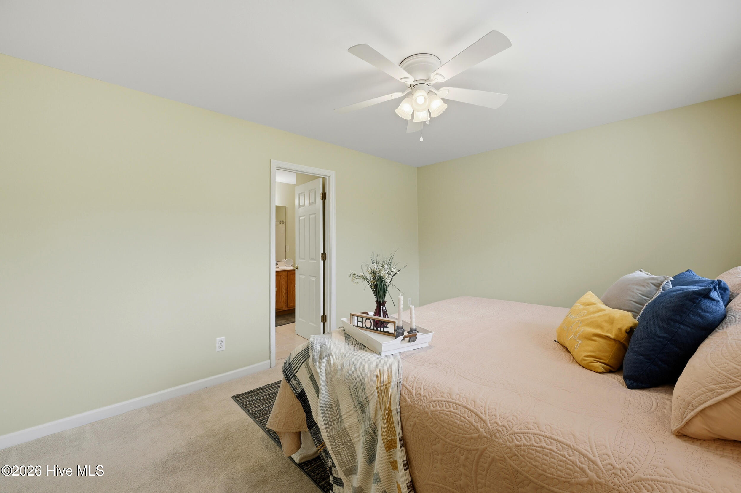 100562256 | Photo 20