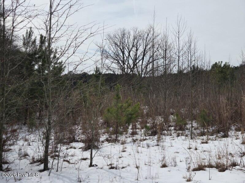 Homes for sale in Elizabethtown, NC | 101 Esterville Rd, Elizabethtown, NC 28337 | MLS# 100556662