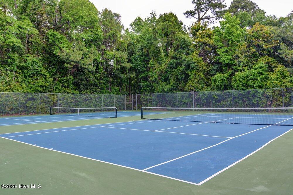 100558387 | Photo 53