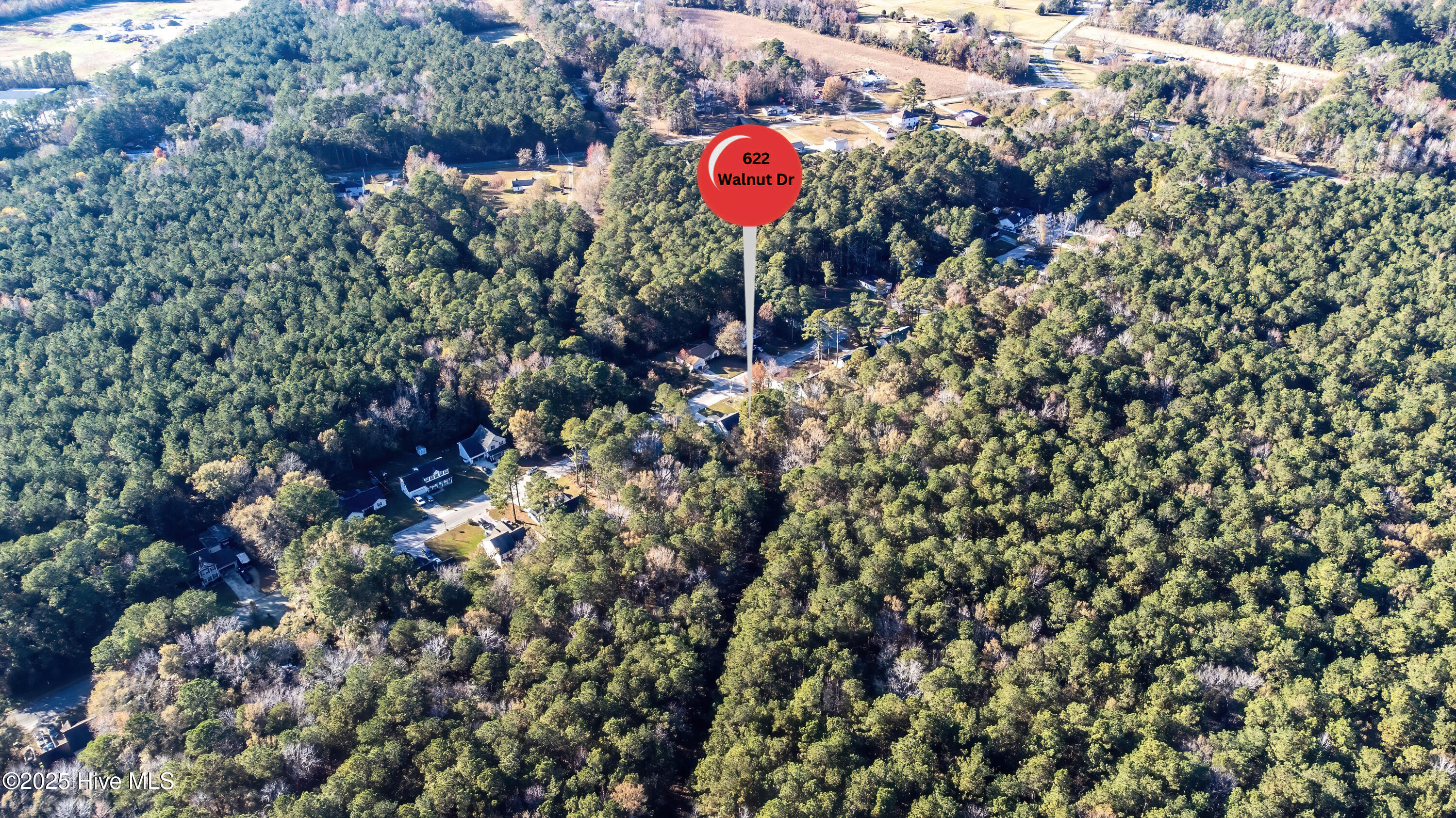 100538278 | Photo 53