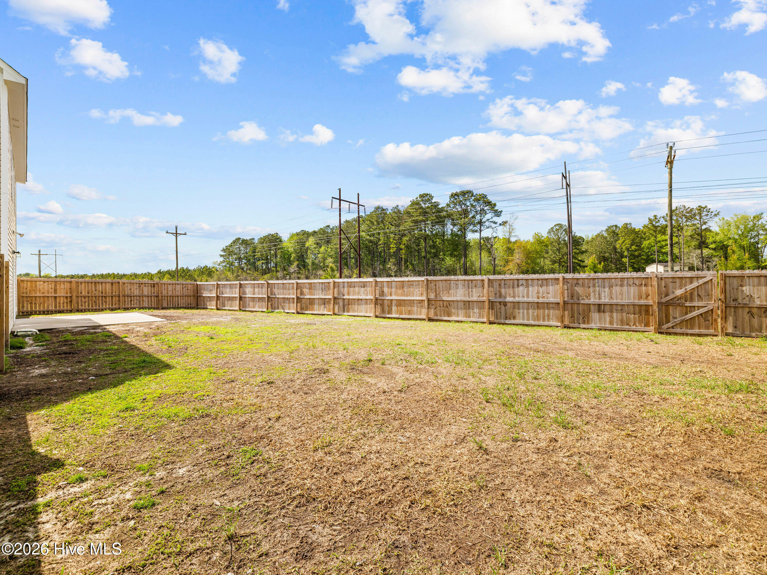 100567423 | Photo 10