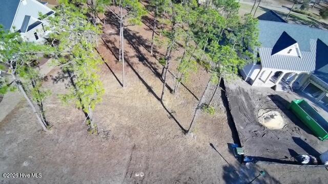 100550415 | Photo 11