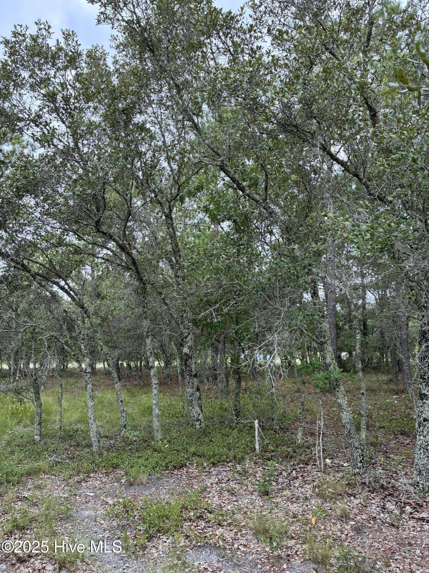 178 Marsh Run, Oriental, NC, 28571